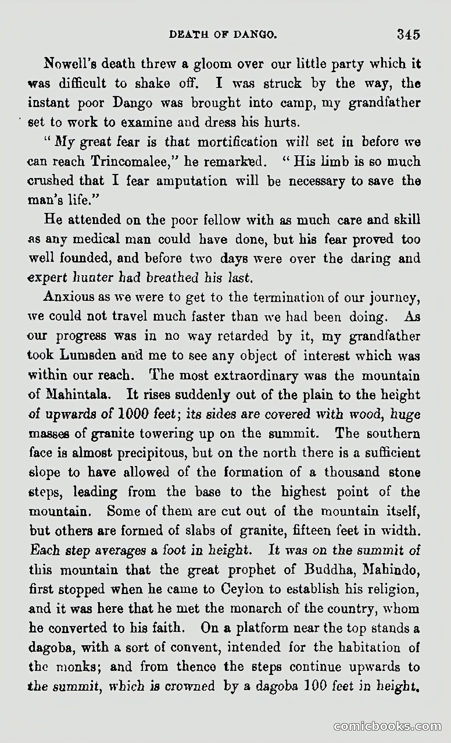 My First Voyage to Southern Seas — page 347 of 400
