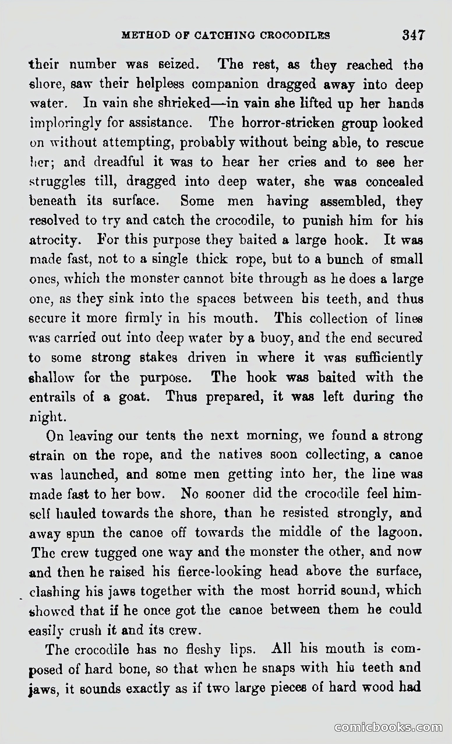 My First Voyage to Southern Seas — page 349 of 400