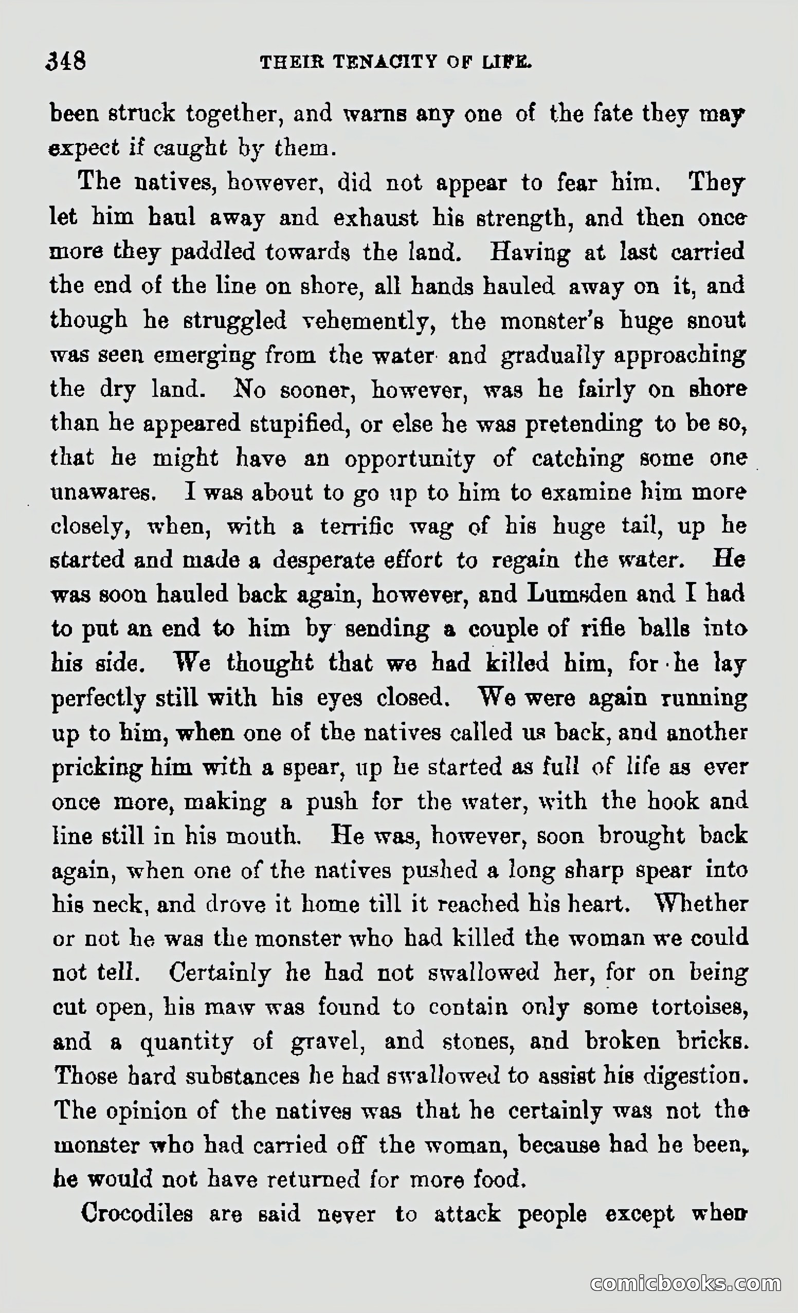 My First Voyage to Southern Seas — page 350 of 400