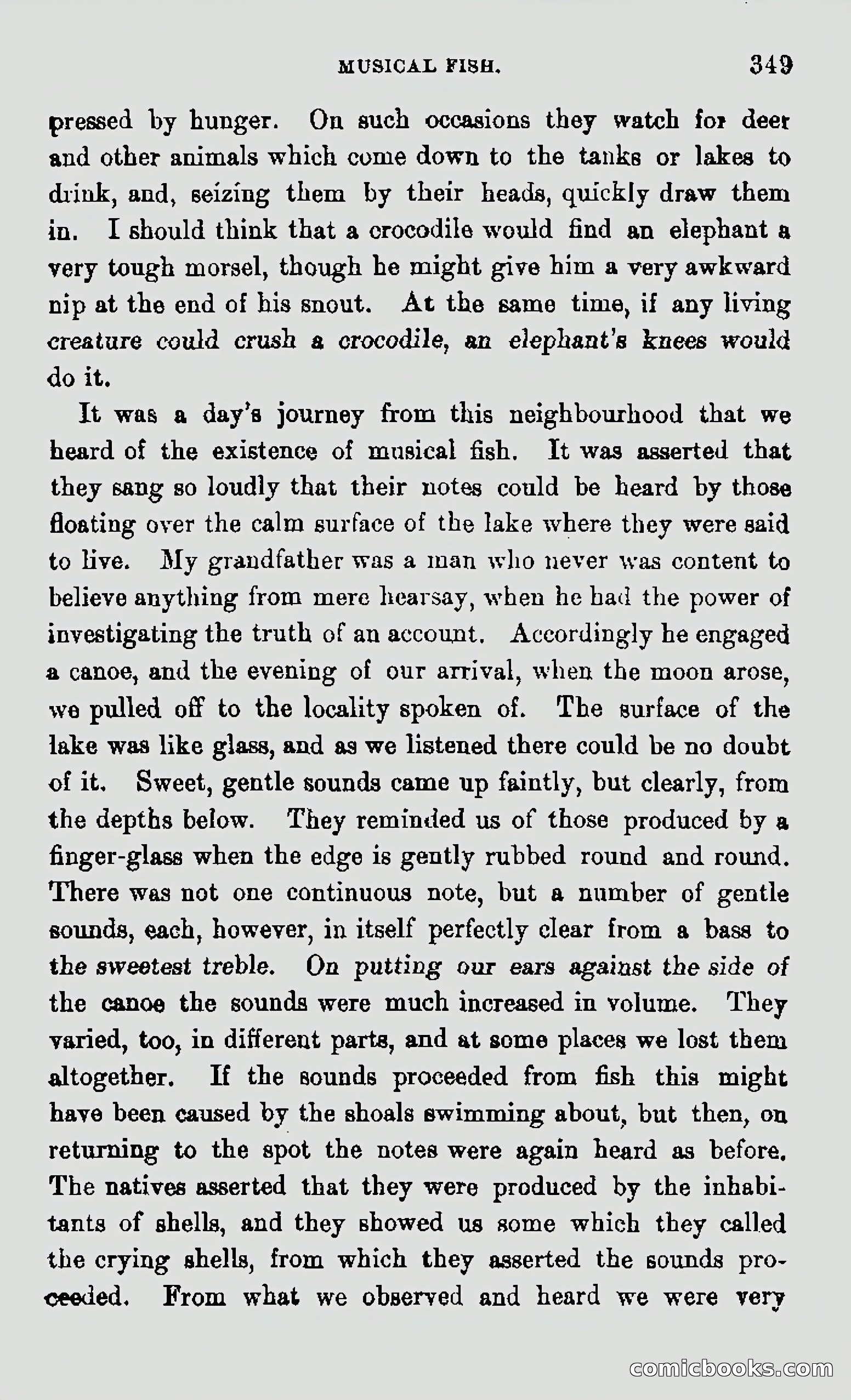 My First Voyage to Southern Seas — page 351 of 400