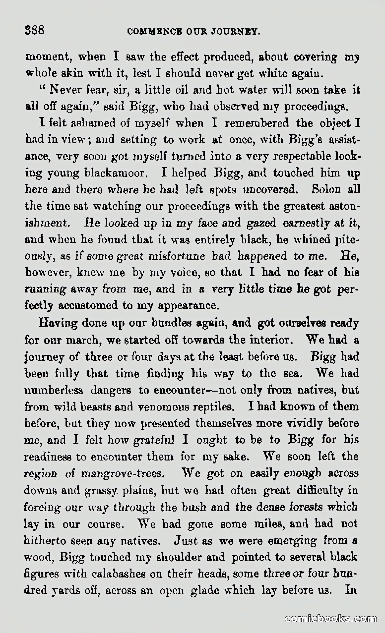 My First Voyage to Southern Seas — page 390 of 400
