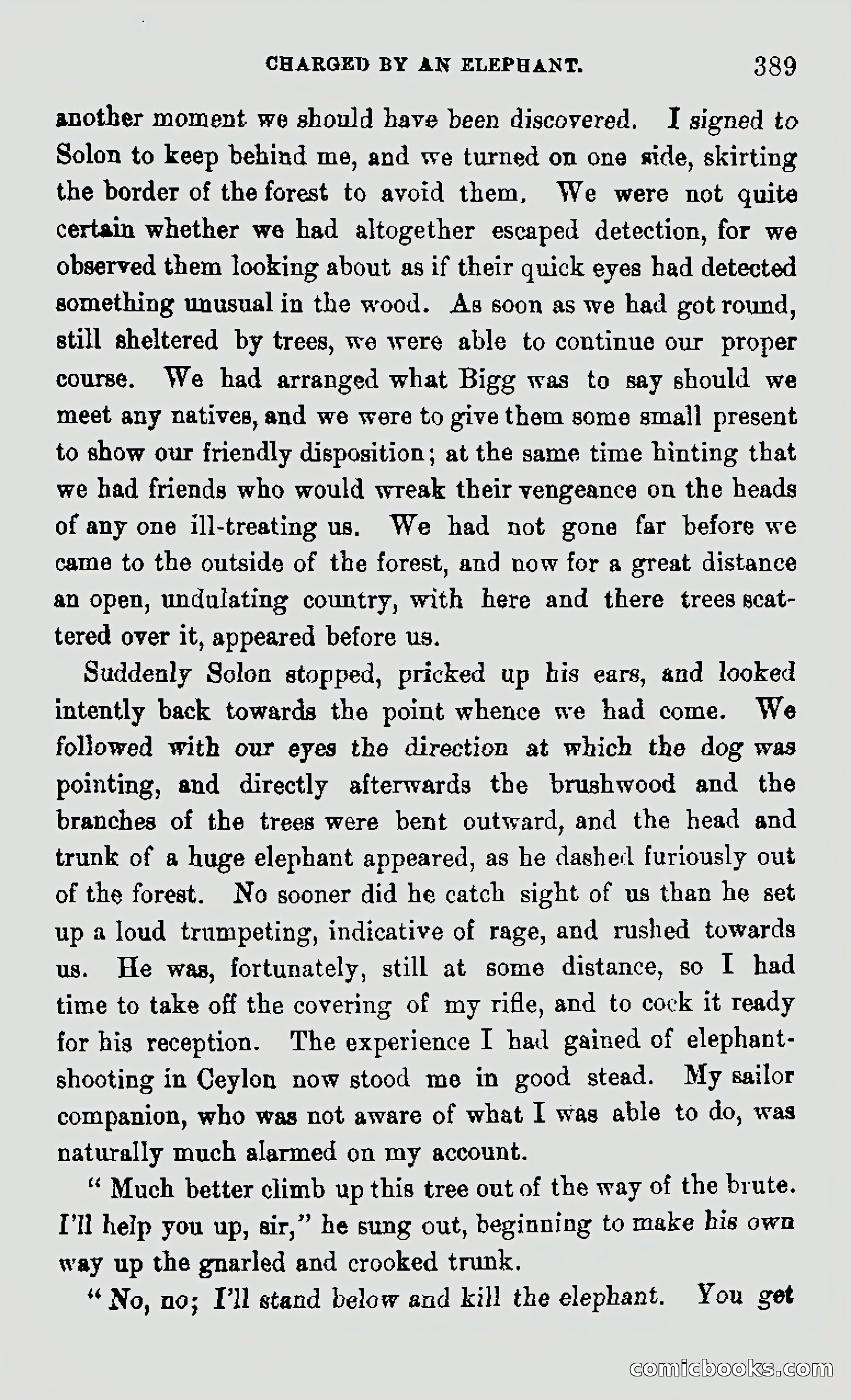 My First Voyage to Southern Seas — page 391 of 400