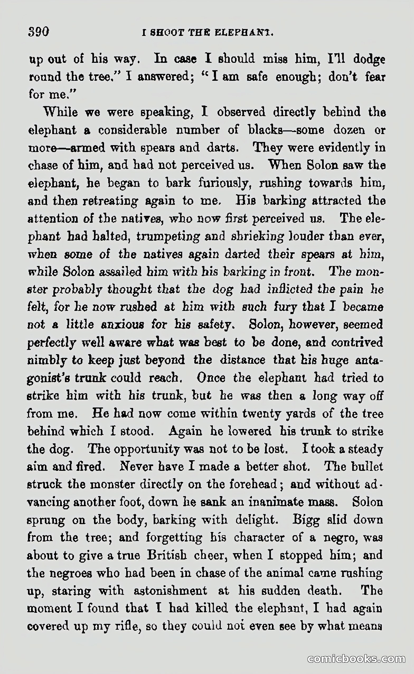 My First Voyage to Southern Seas — page 392 of 400