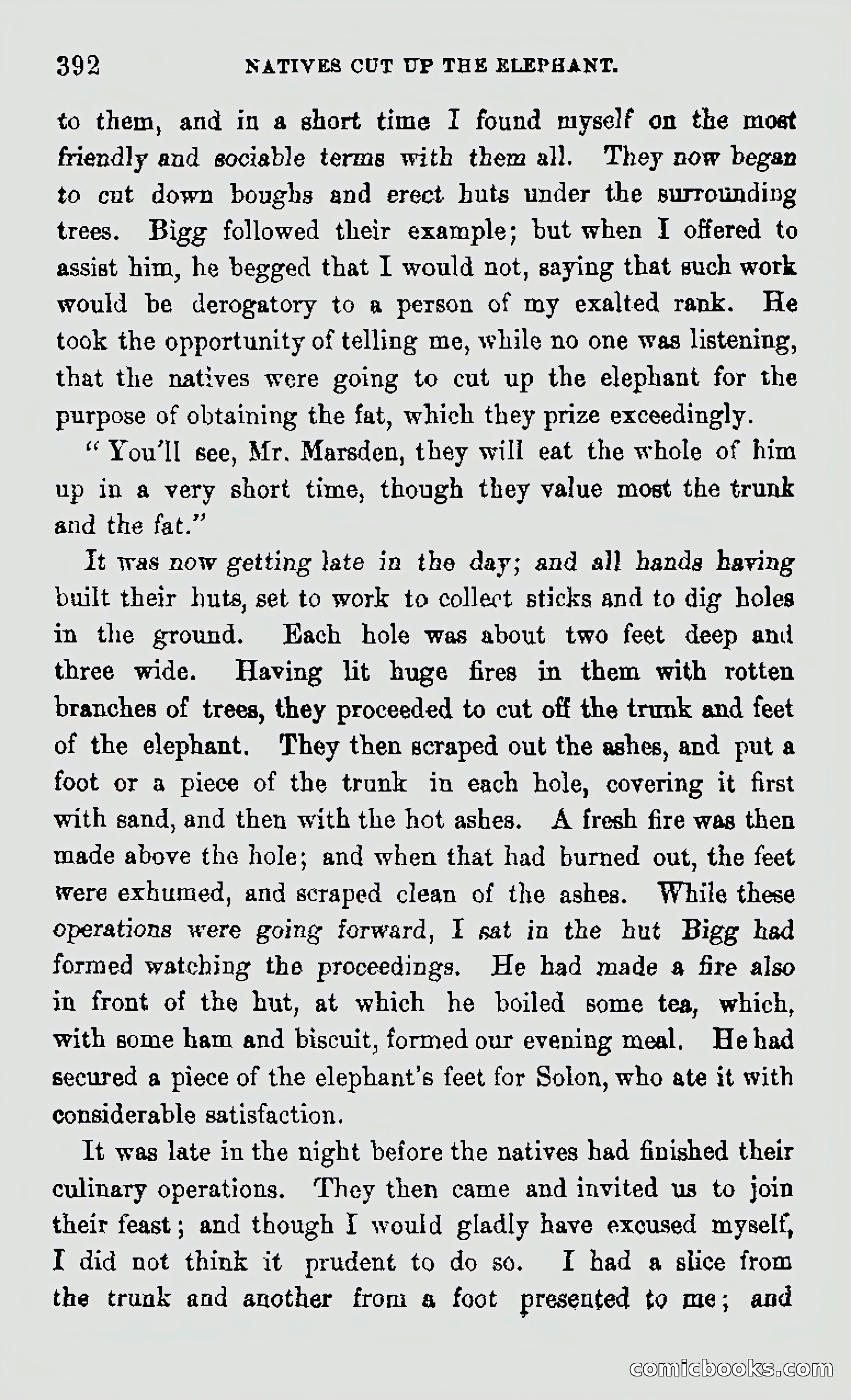 My First Voyage to Southern Seas — page 394 of 400