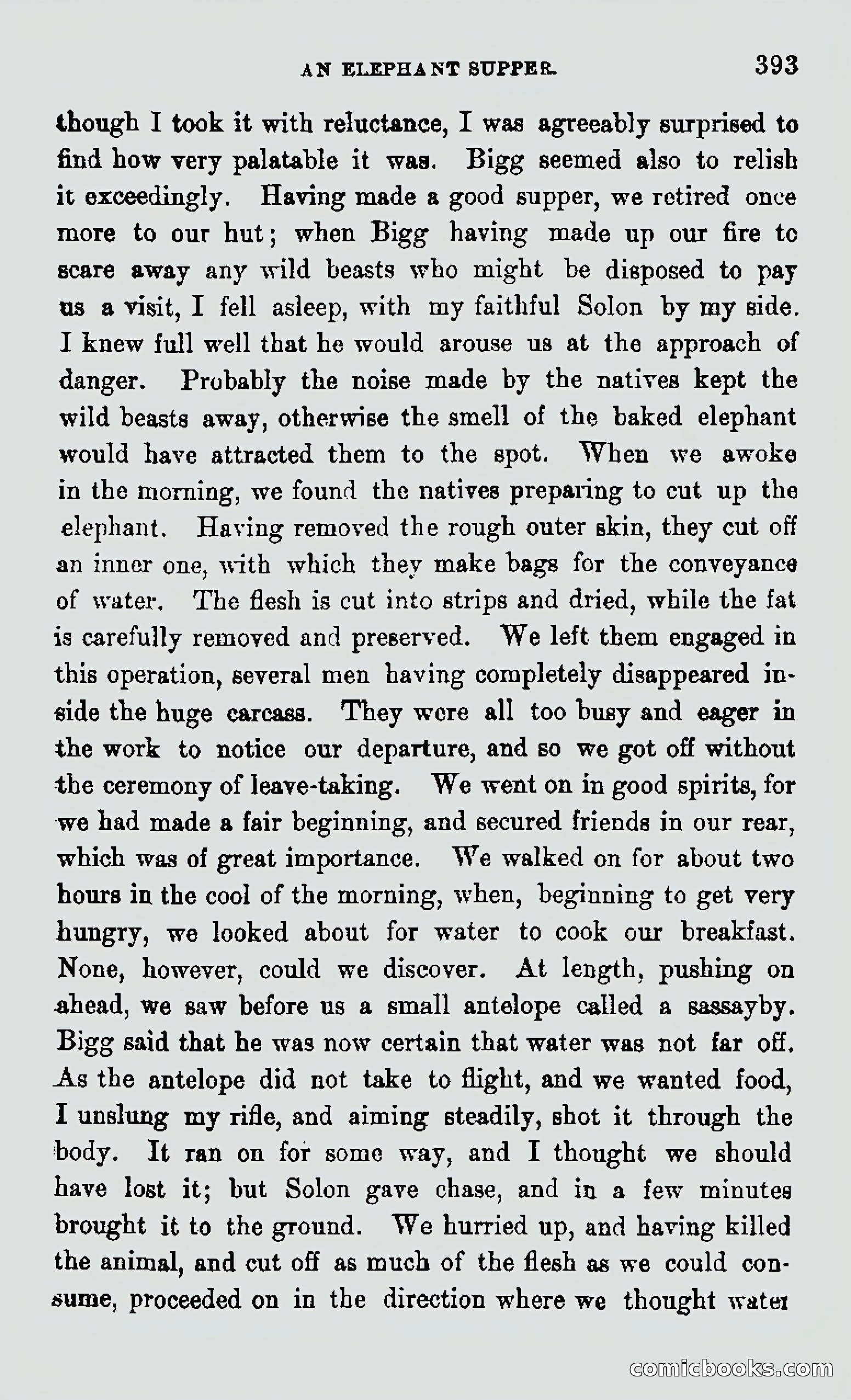 My First Voyage to Southern Seas — page 395 of 400