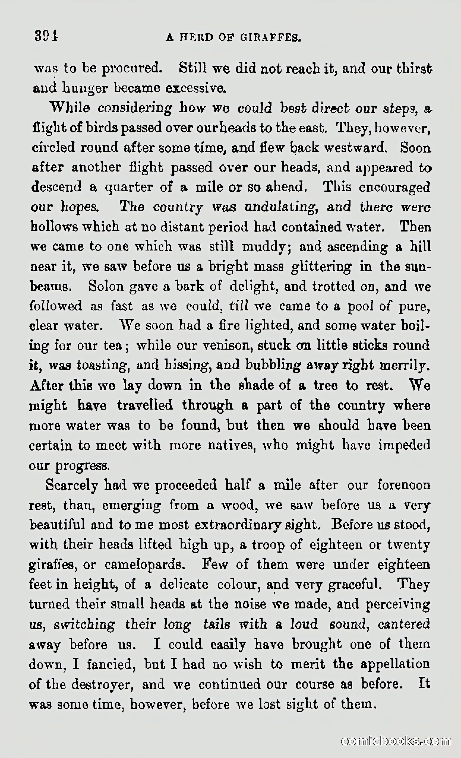 My First Voyage to Southern Seas — page 396 of 400
