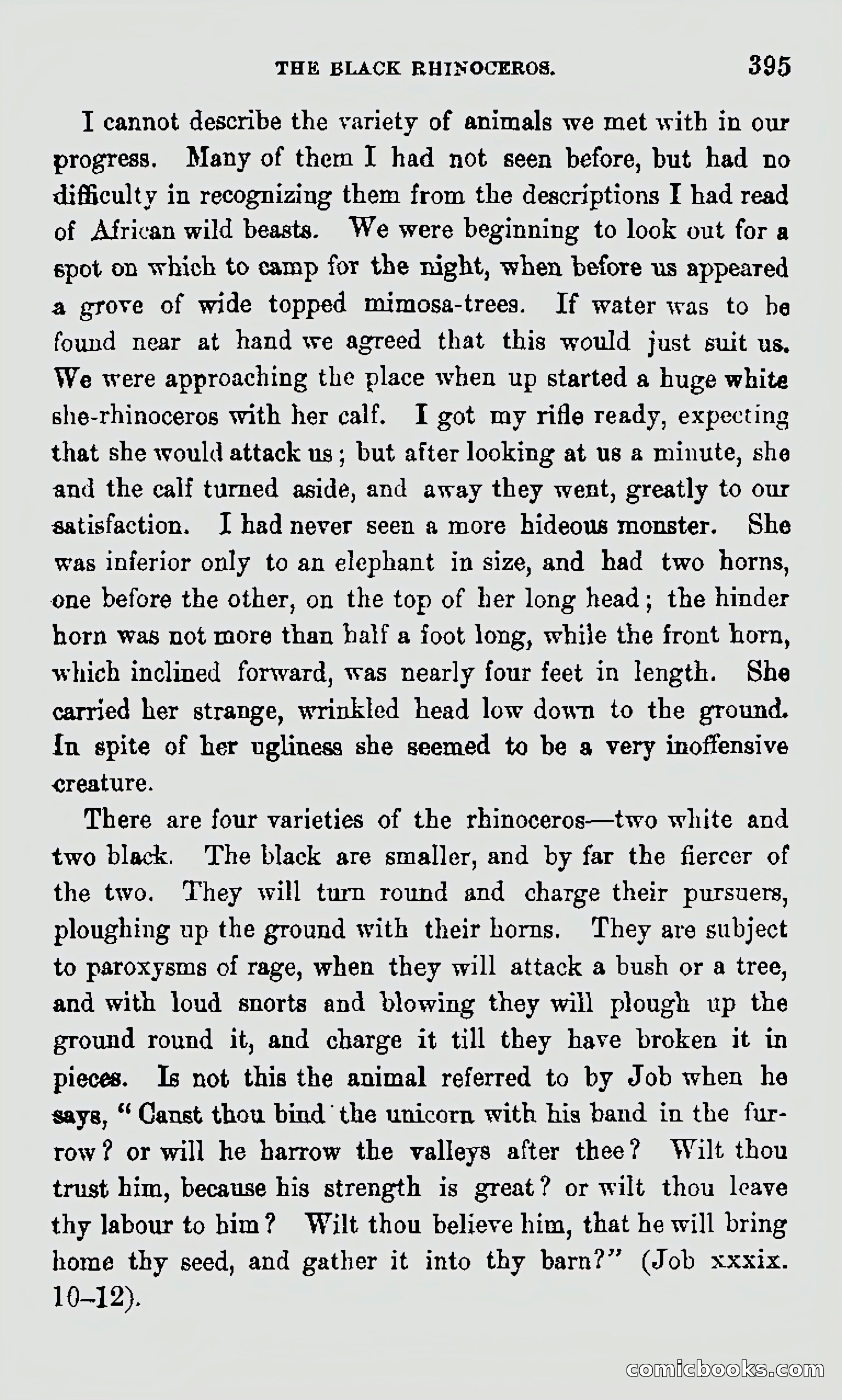 My First Voyage to Southern Seas — page 397 of 400