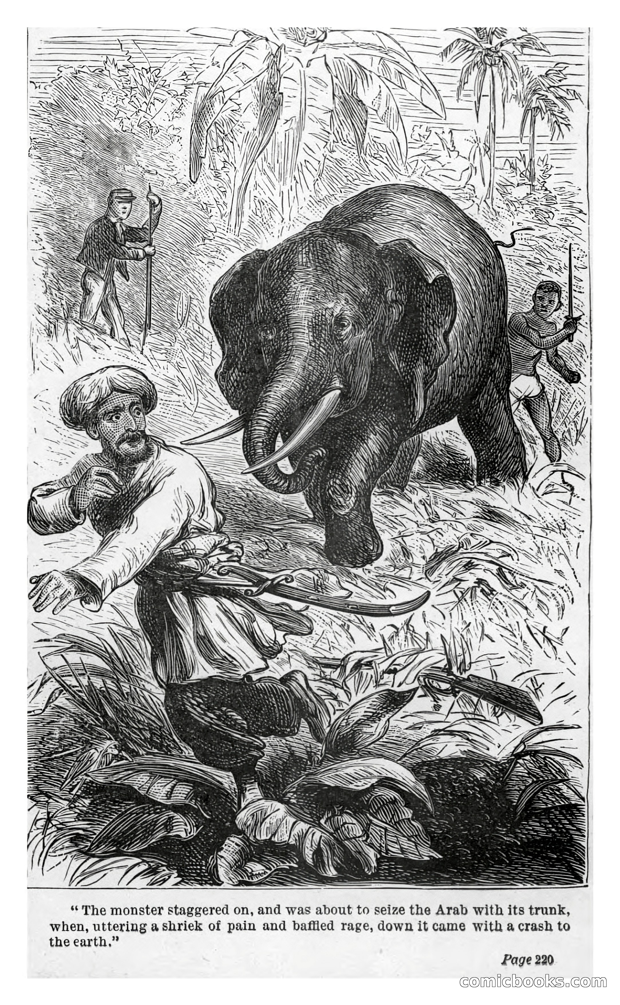 Ned Garth; or, Made Prisoner in Africa — page 4 of 260