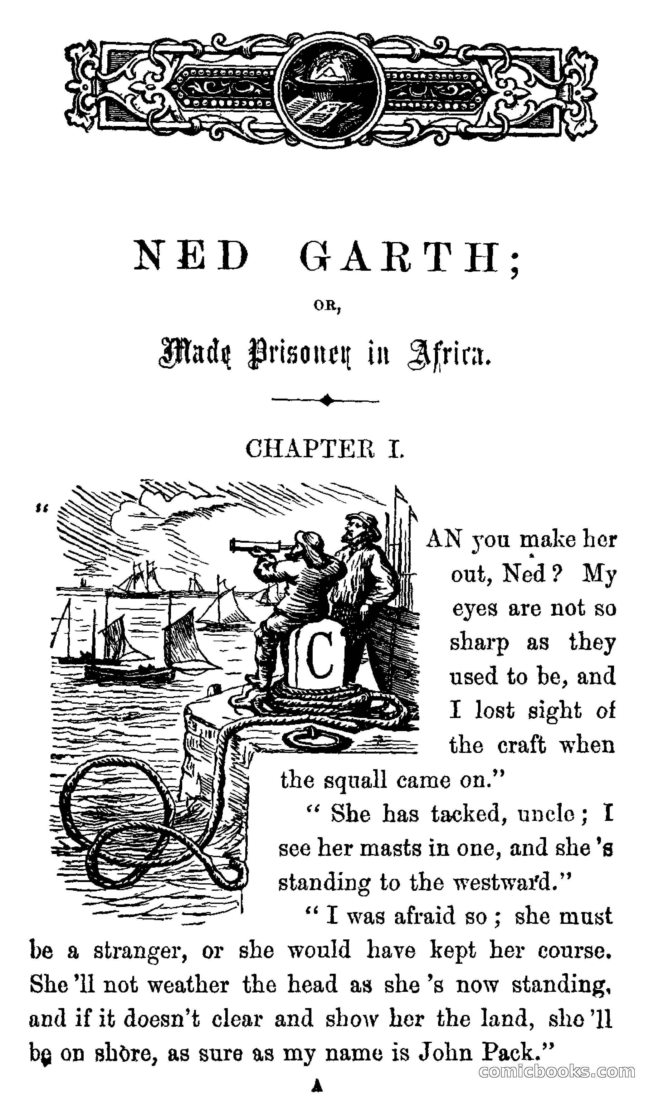 Ned Garth; or, Made Prisoner in Africa — page 5 of 260