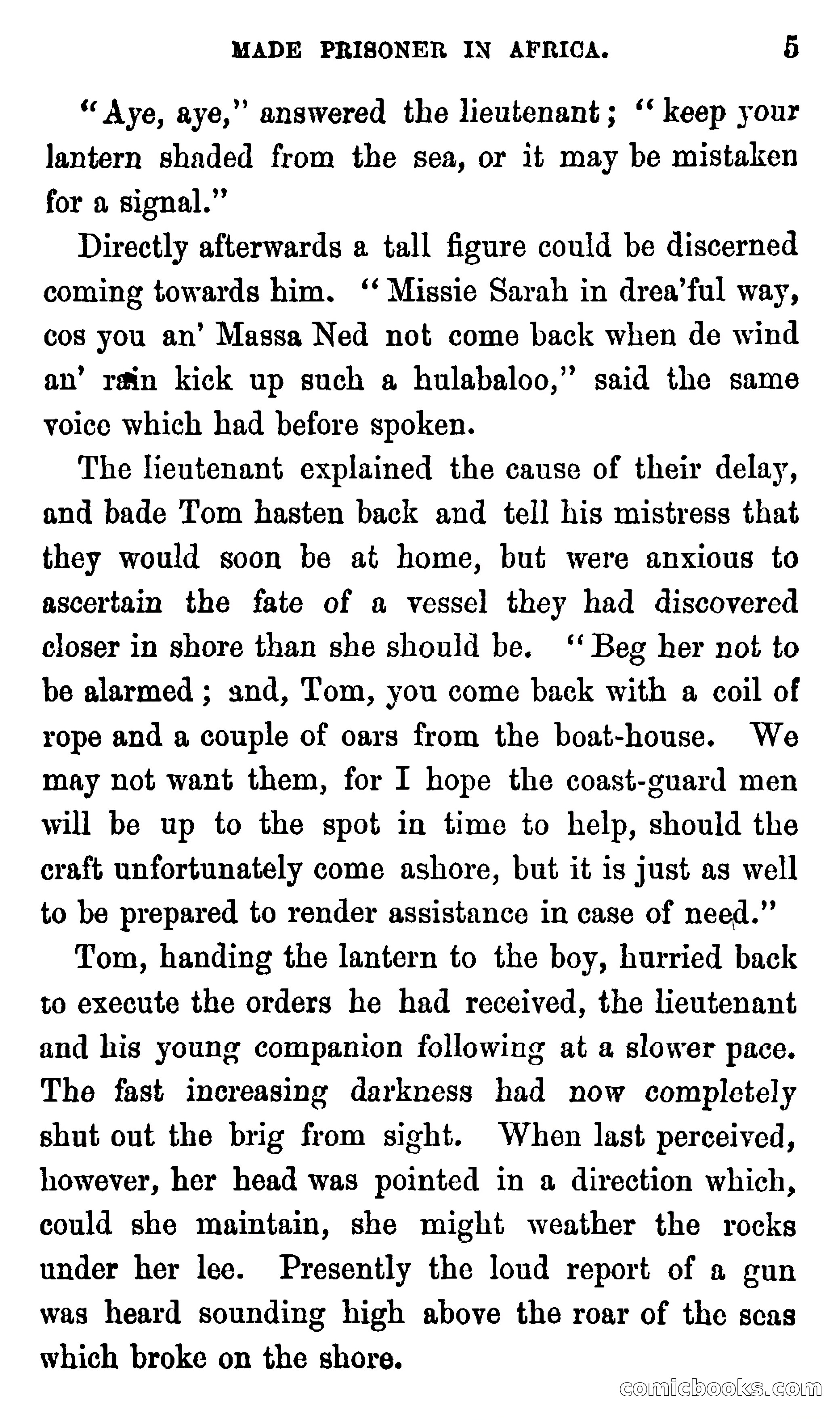 Ned Garth; or, Made Prisoner in Africa — page 9 of 260