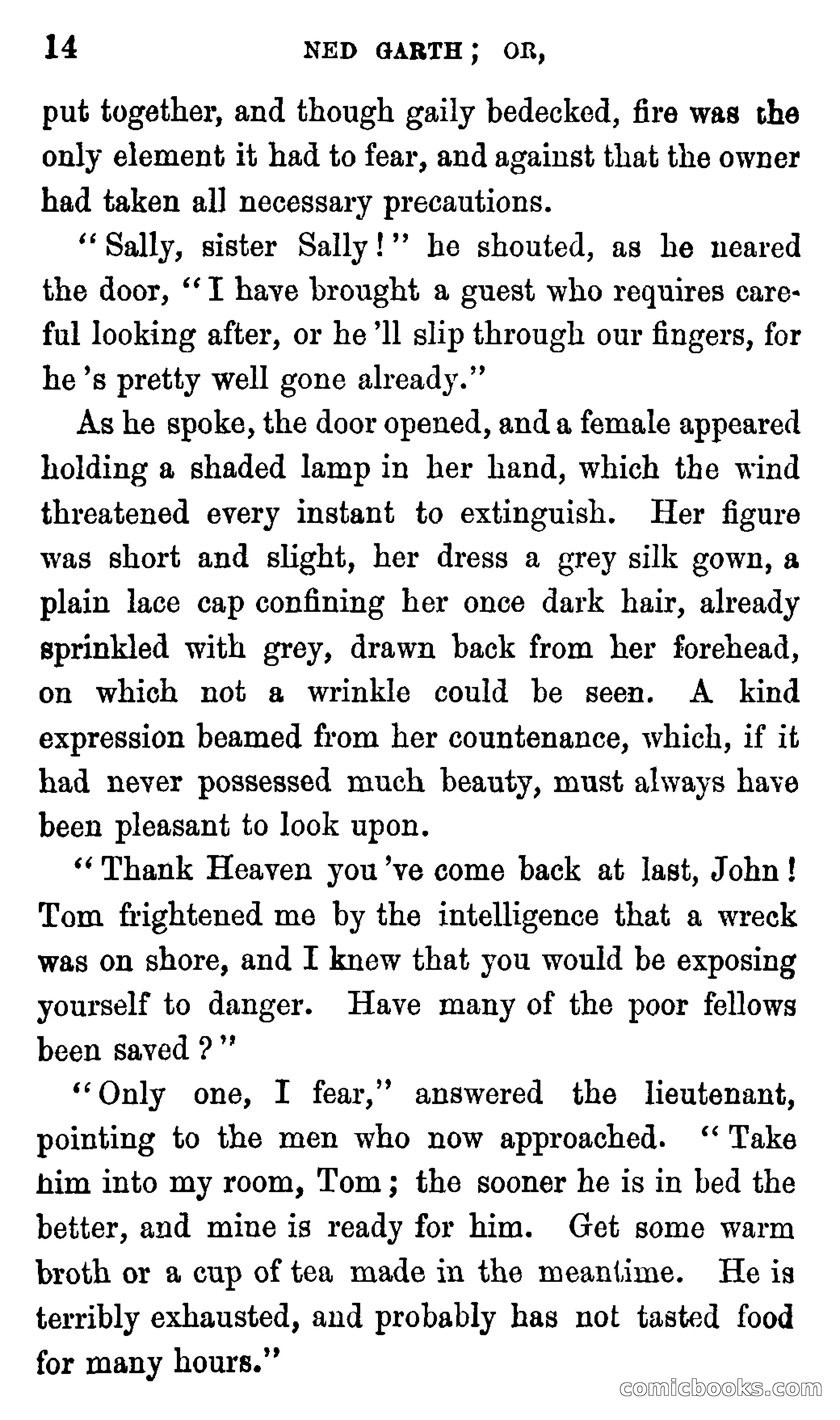 Ned Garth; or, Made Prisoner in Africa — page 18 of 260