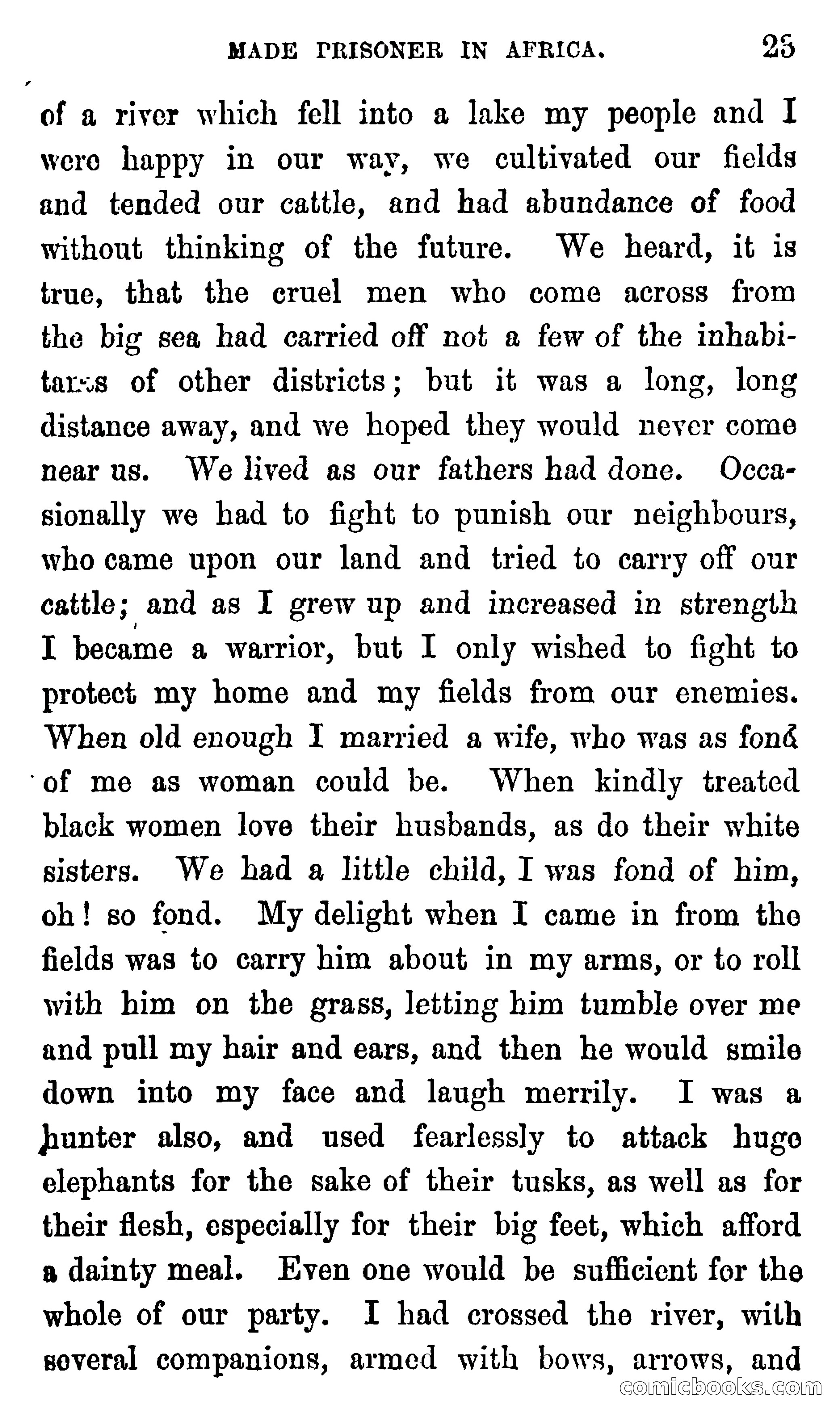 Ned Garth; or, Made Prisoner in Africa — page 27 of 260