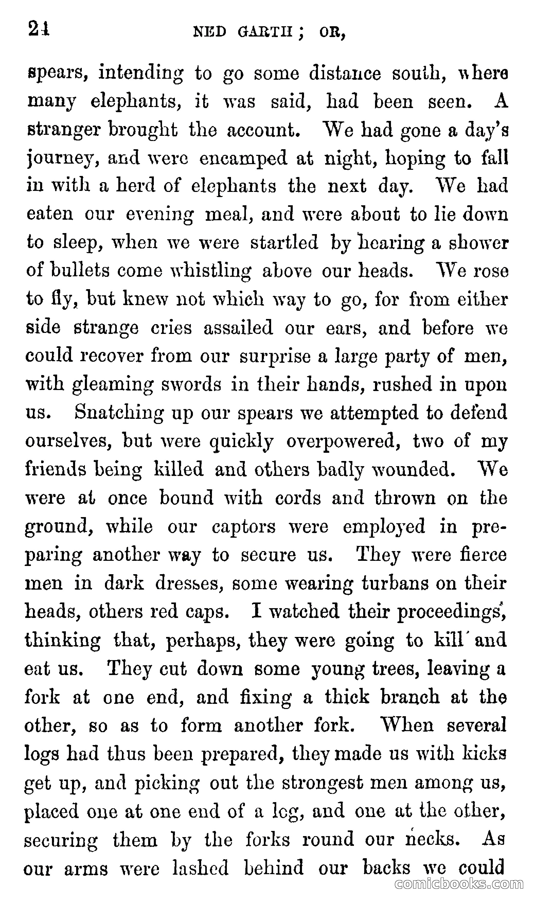 Ned Garth; or, Made Prisoner in Africa — page 28 of 260