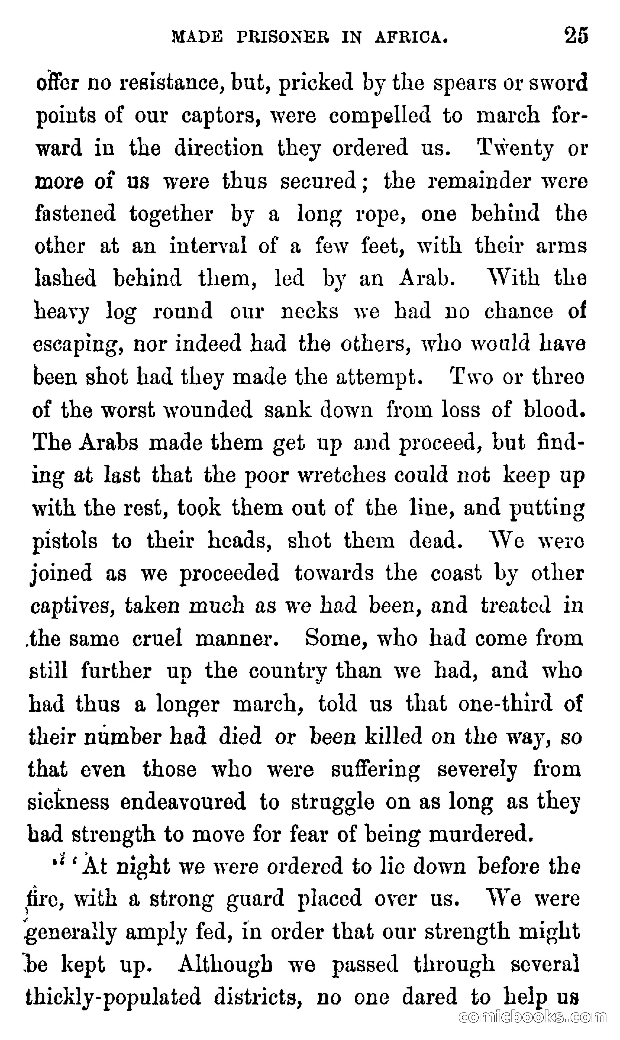 Ned Garth; or, Made Prisoner in Africa — page 29 of 260