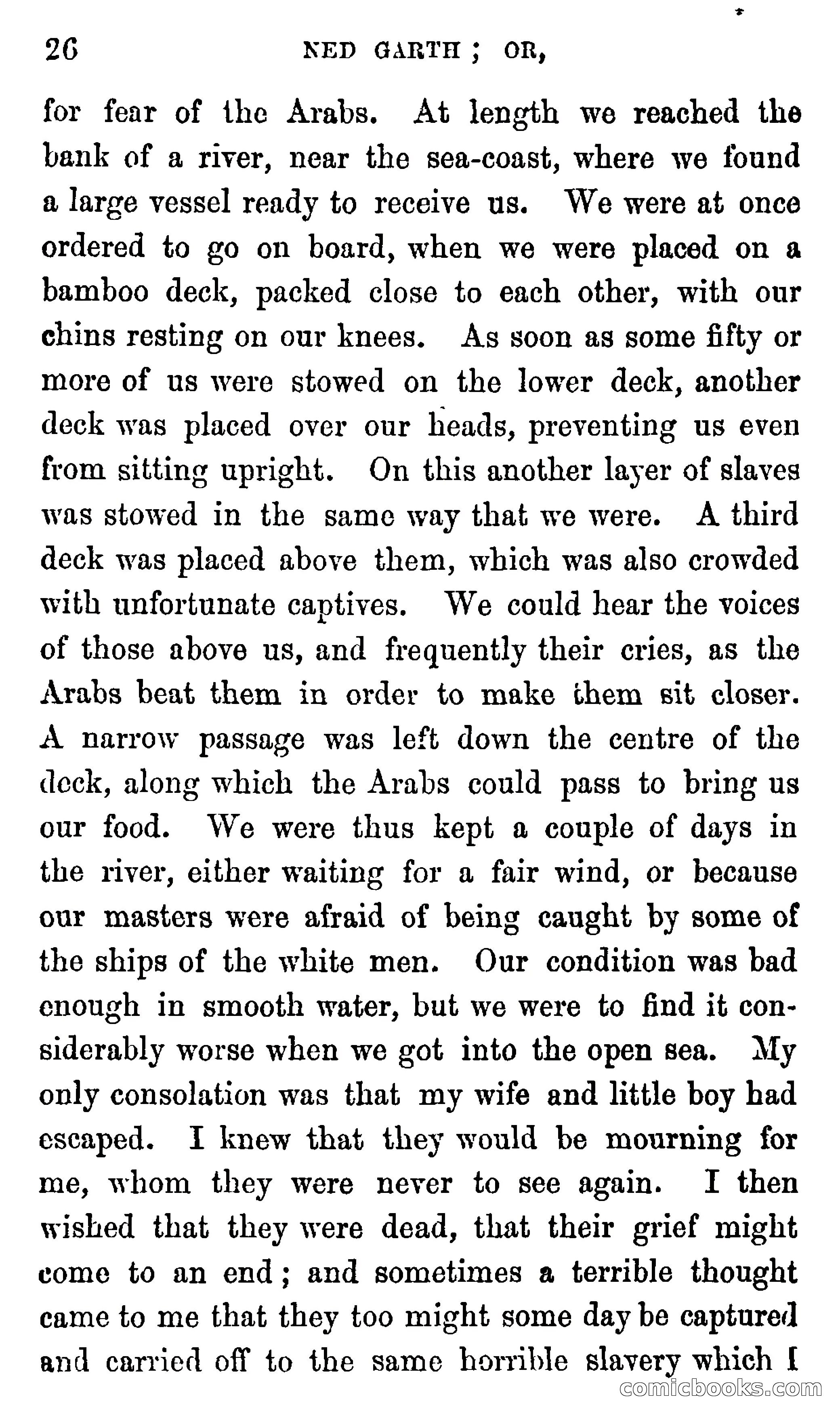 Ned Garth; or, Made Prisoner in Africa — page 30 of 260