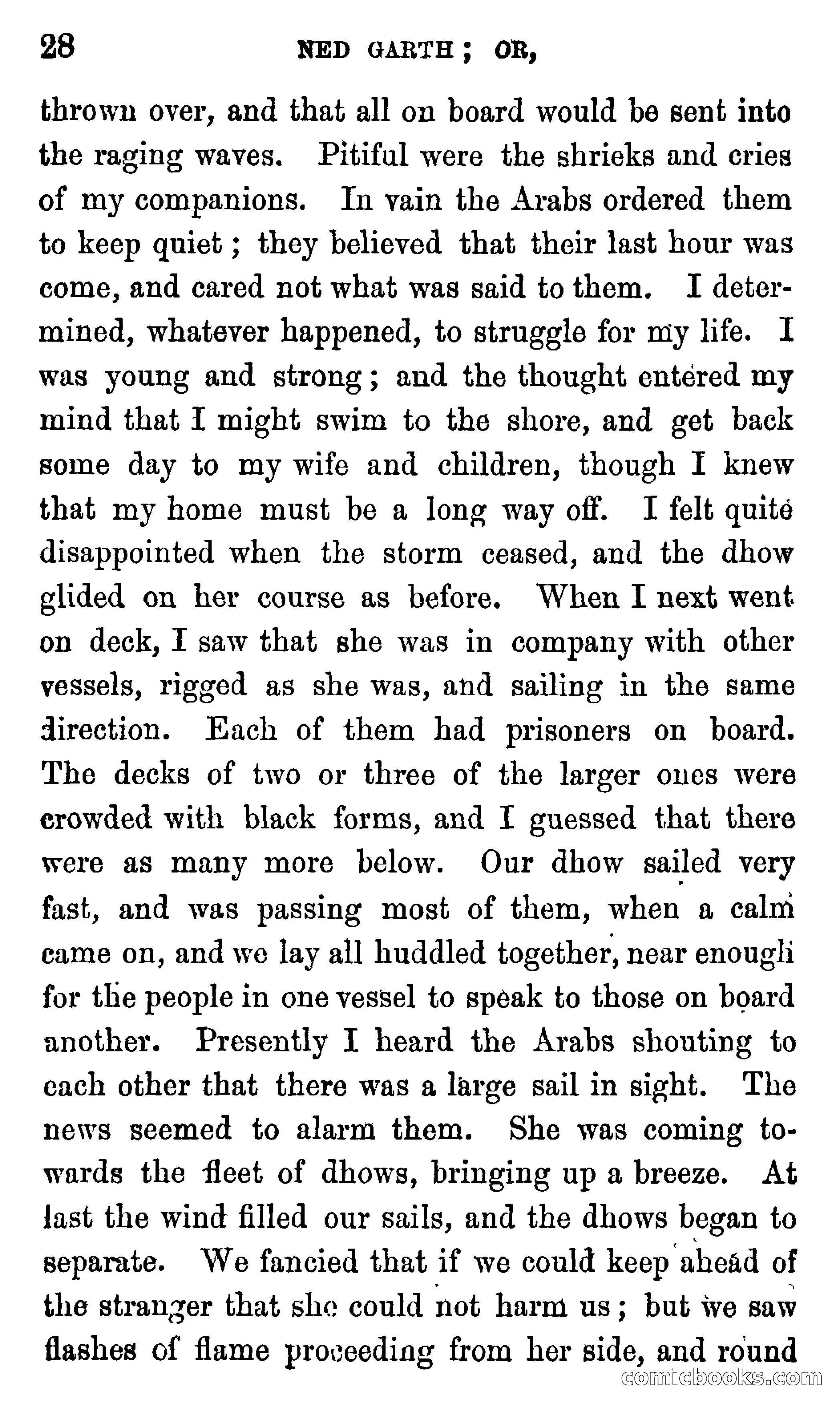 Ned Garth; or, Made Prisoner in Africa — page 32 of 260