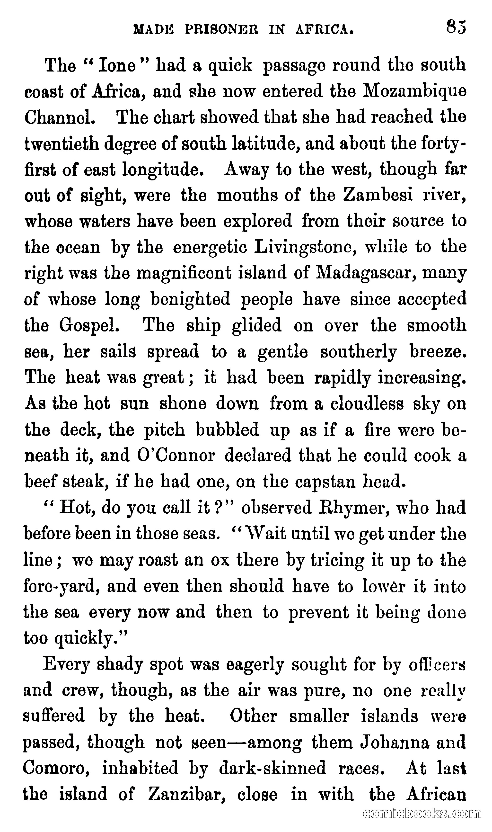 Ned Garth; or, Made Prisoner in Africa — page 89 of 260