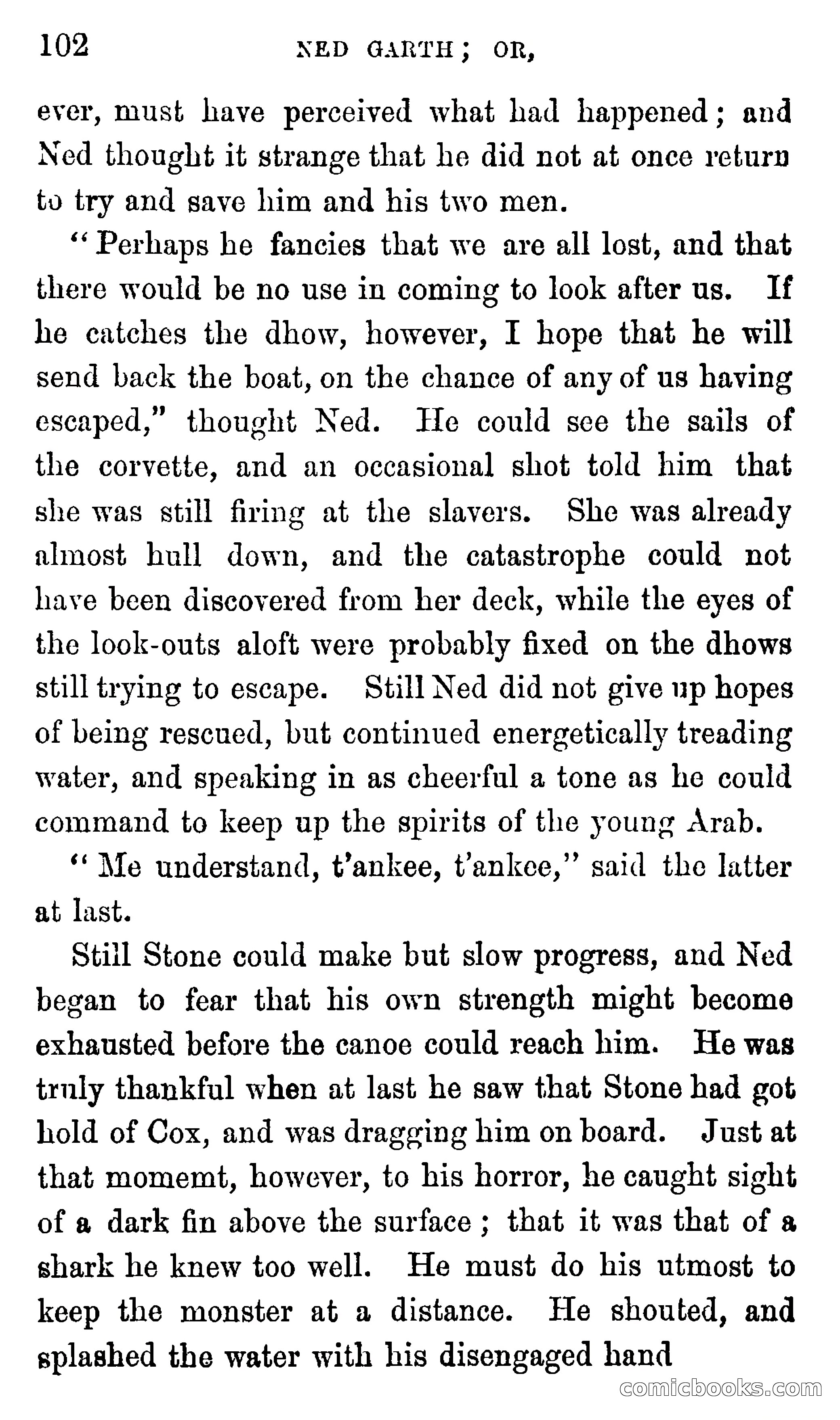 Ned Garth; or, Made Prisoner in Africa — page 106 of 260