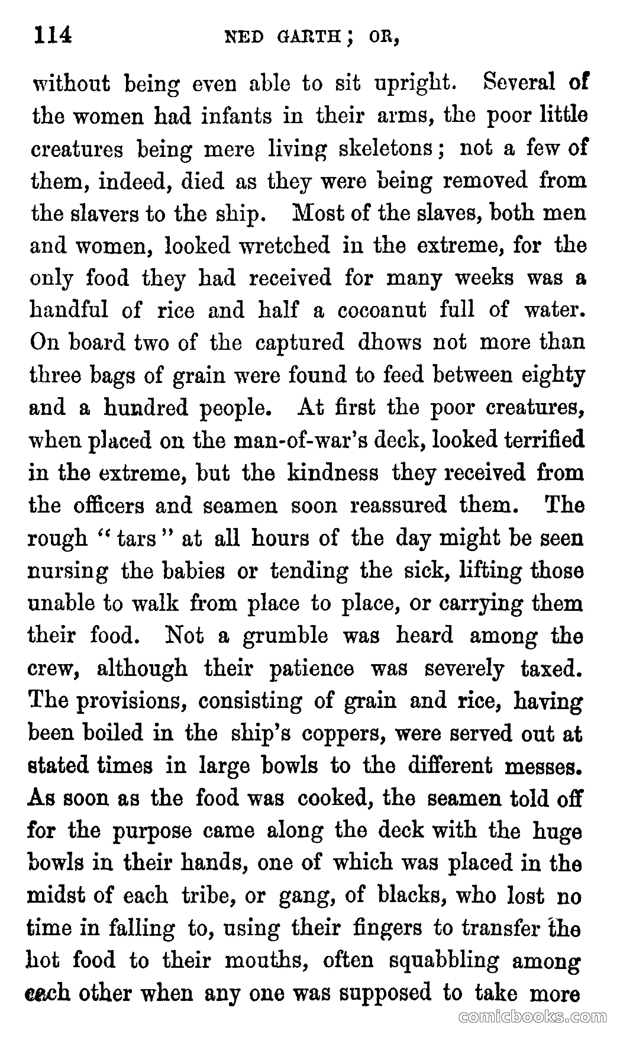 Ned Garth; or, Made Prisoner in Africa — page 118 of 260