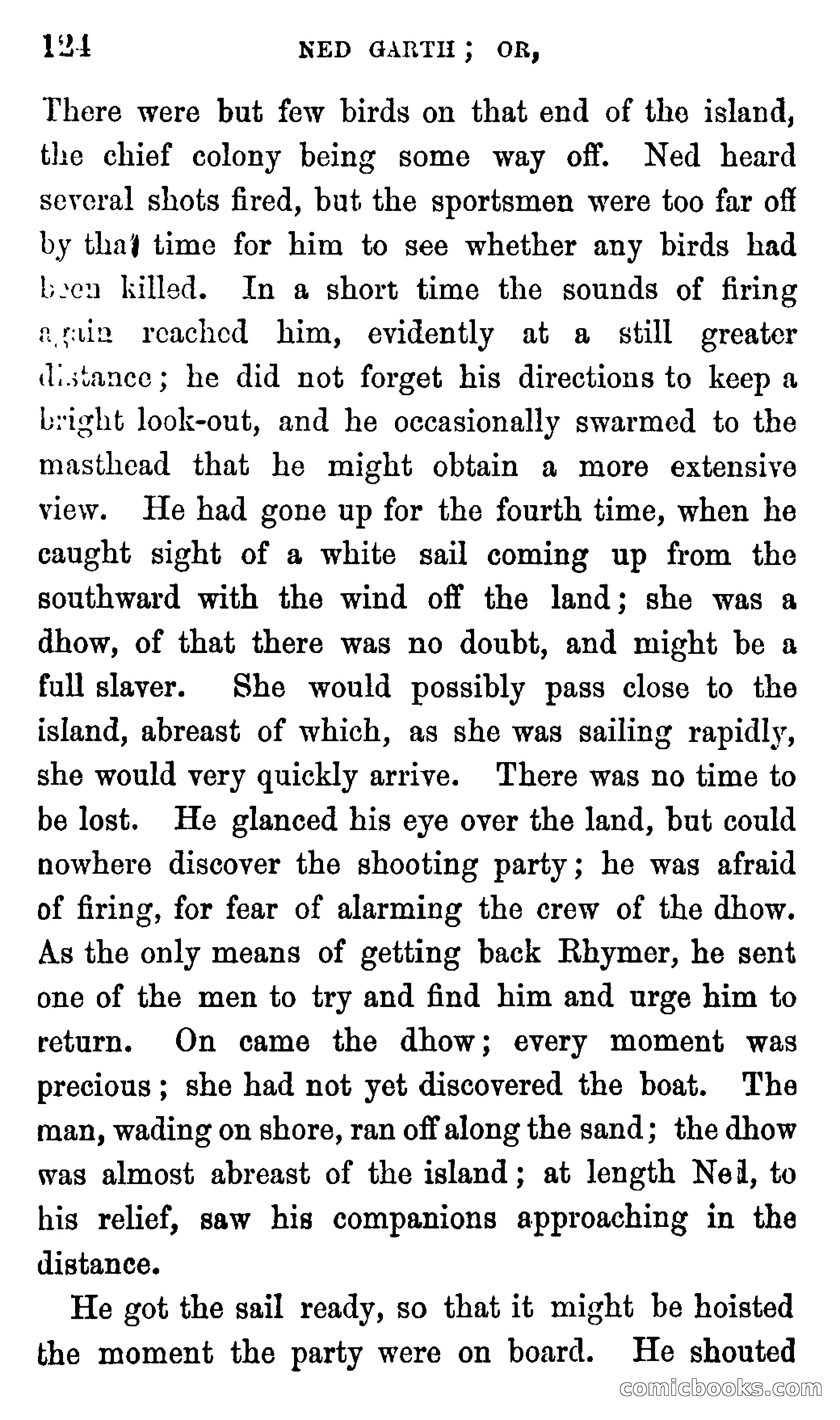 Ned Garth; or, Made Prisoner in Africa — page 128 of 260