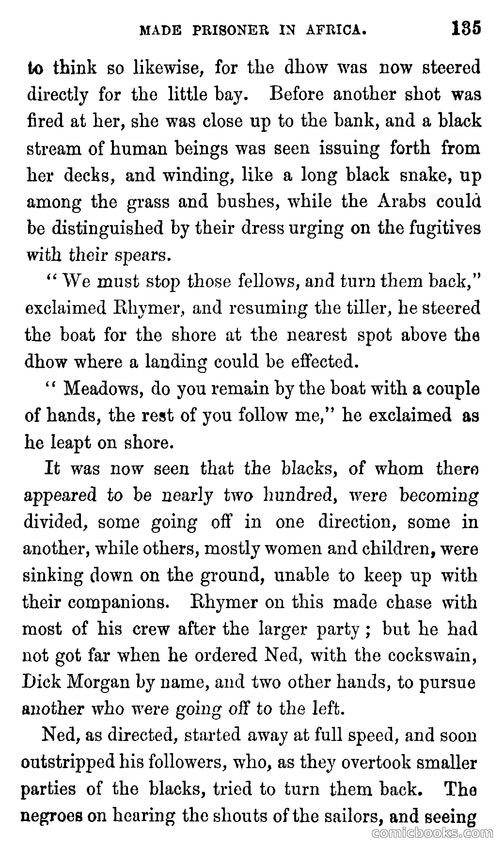 Ned Garth; or, Made Prisoner in Africa — page 139 of 260