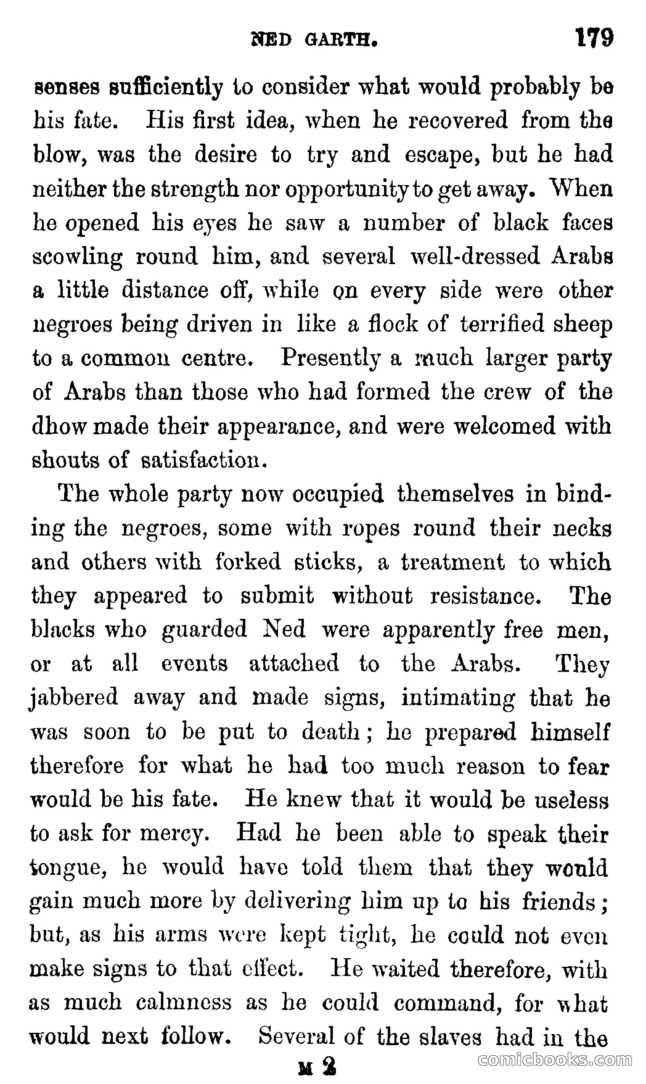 Ned Garth; or, Made Prisoner in Africa — page 183 of 260