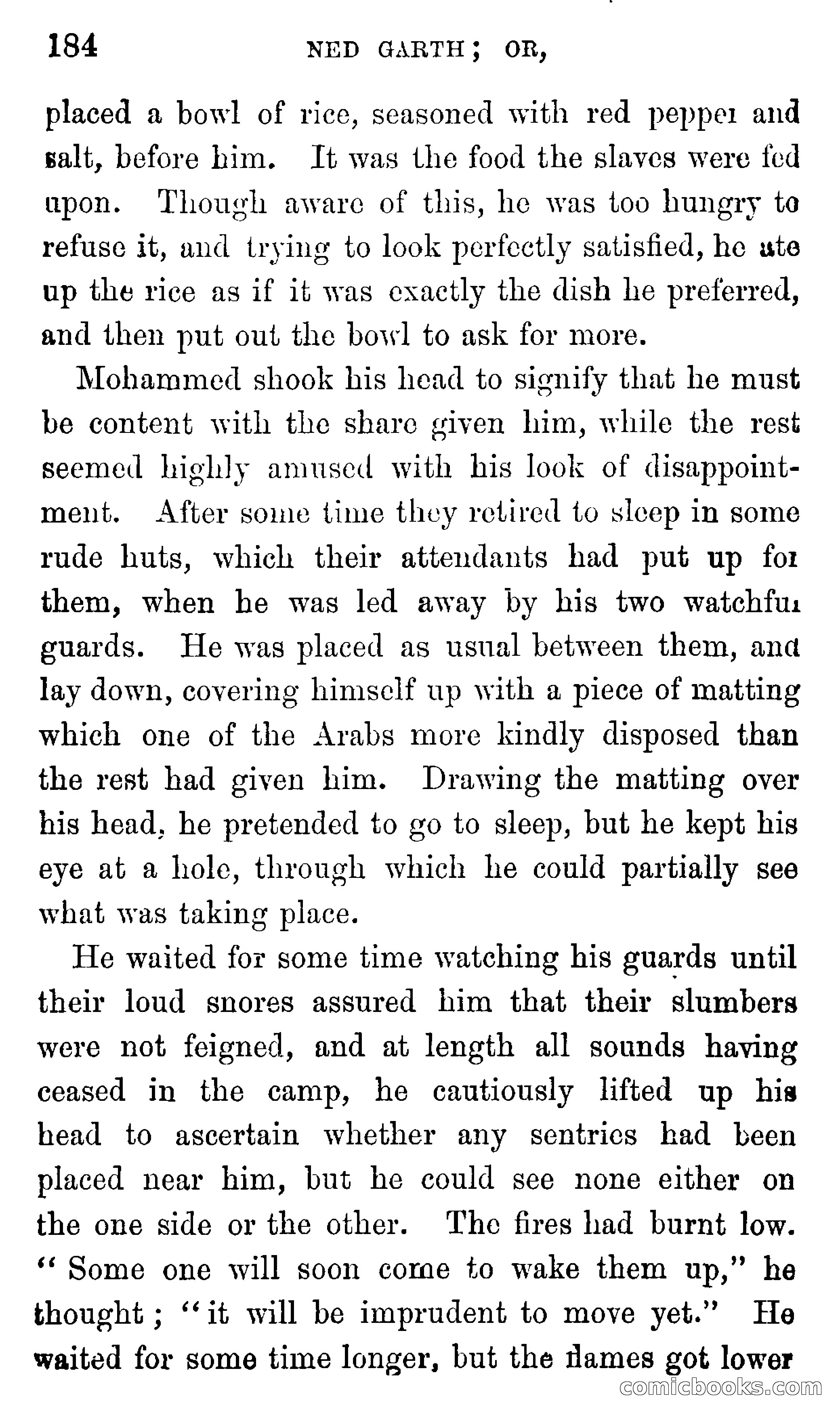 Ned Garth; or, Made Prisoner in Africa — page 188 of 260