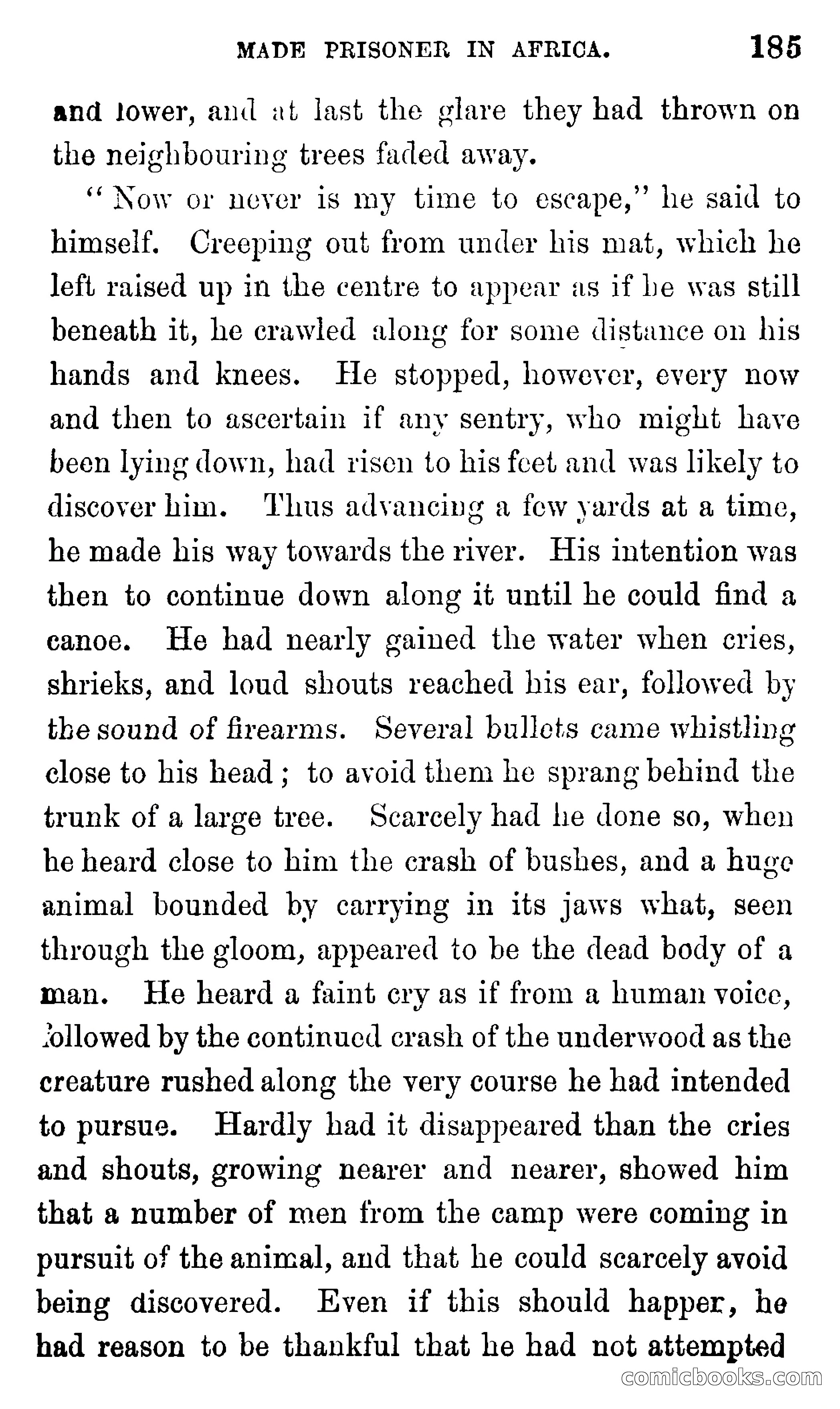 Ned Garth; or, Made Prisoner in Africa — page 189 of 260
