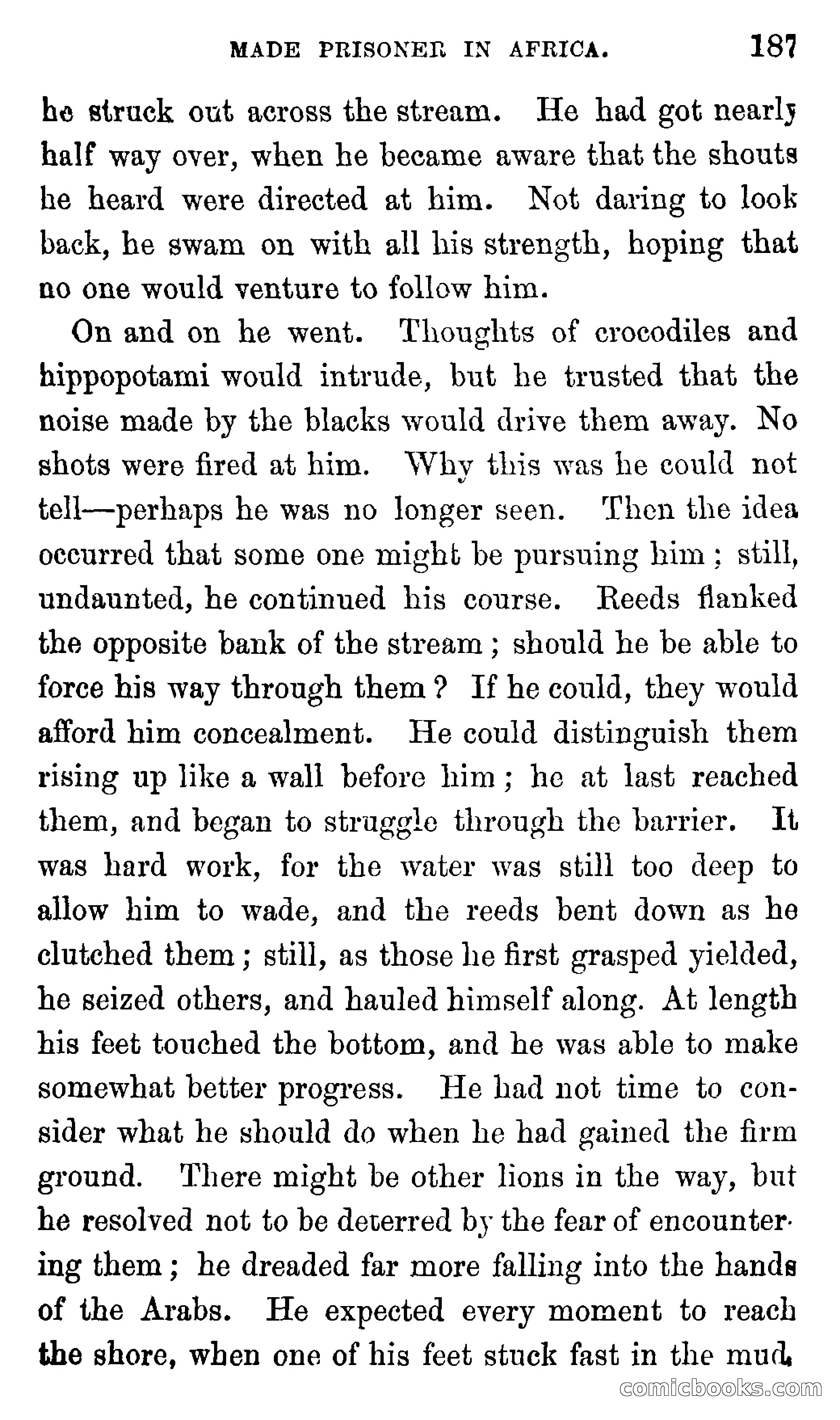 Ned Garth; or, Made Prisoner in Africa — page 191 of 260