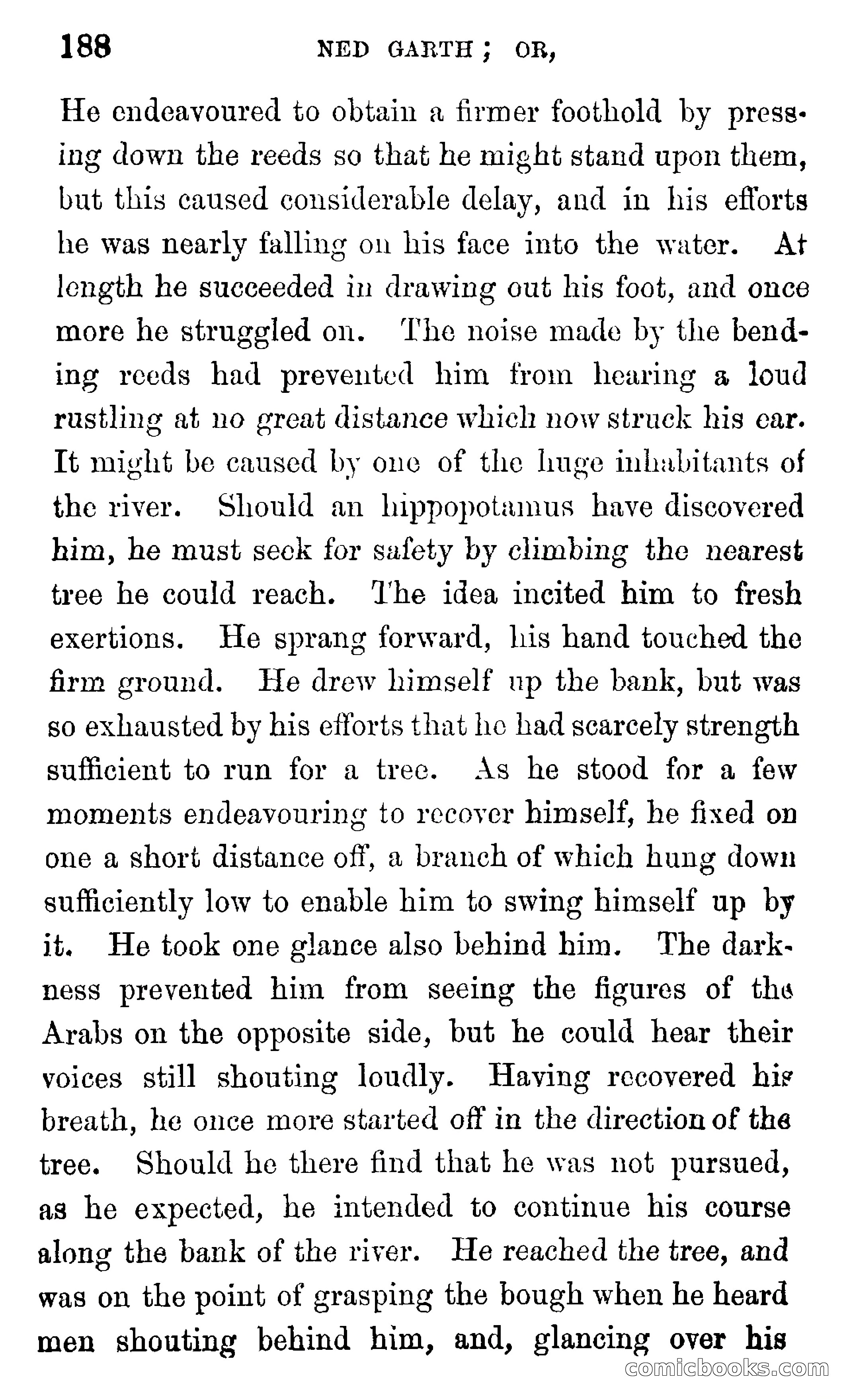 Ned Garth; or, Made Prisoner in Africa — page 192 of 260