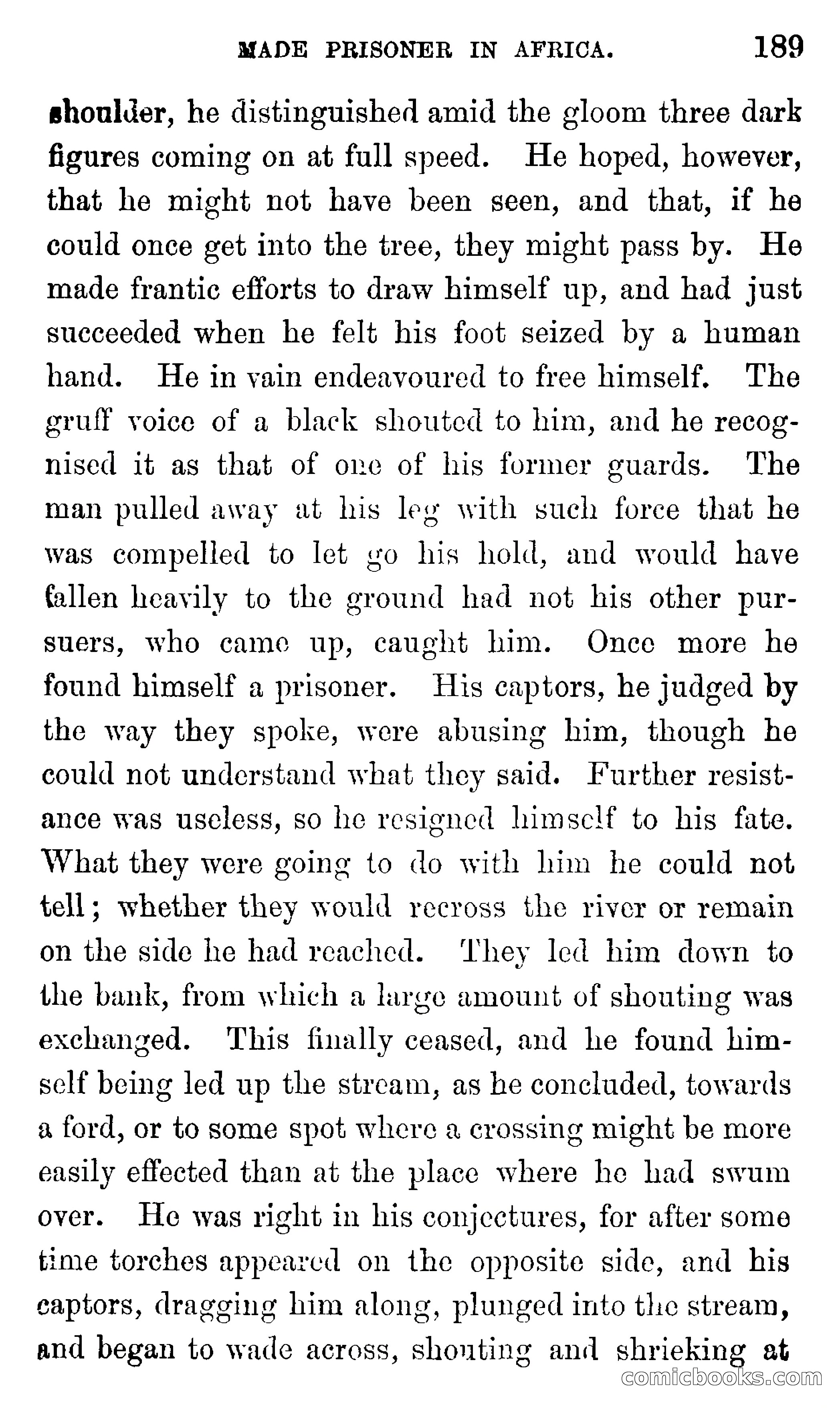Ned Garth; or, Made Prisoner in Africa — page 193 of 260