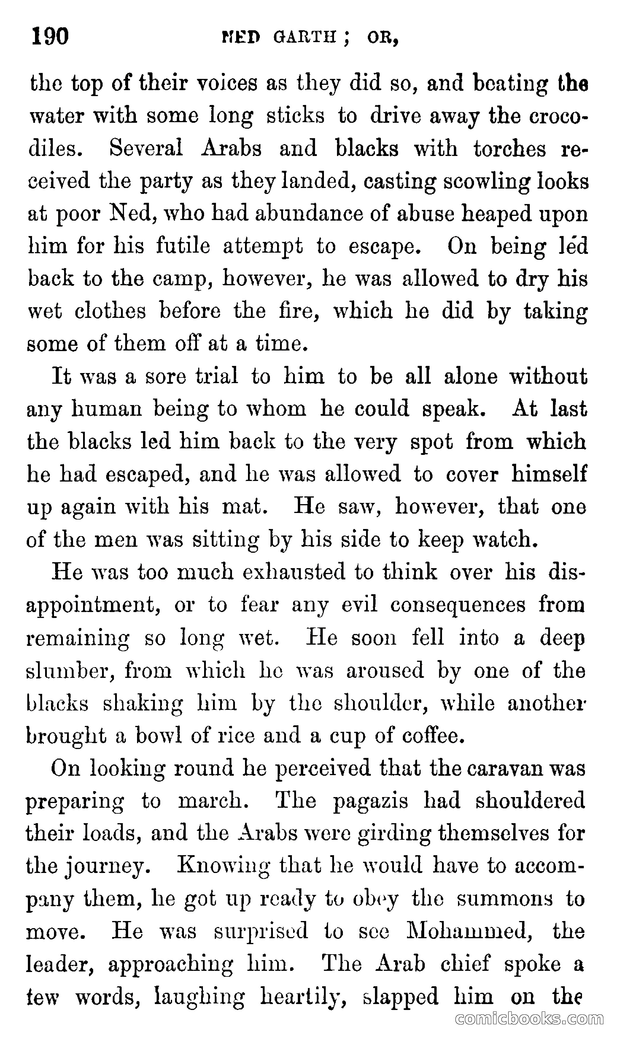 Ned Garth; or, Made Prisoner in Africa — page 194 of 260
