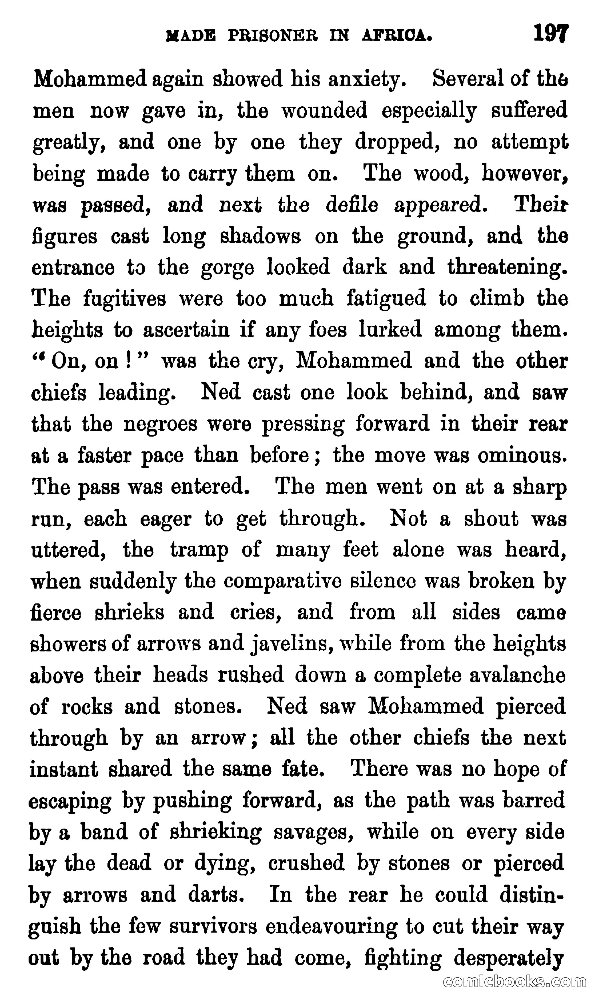 Ned Garth; or, Made Prisoner in Africa — page 201 of 260