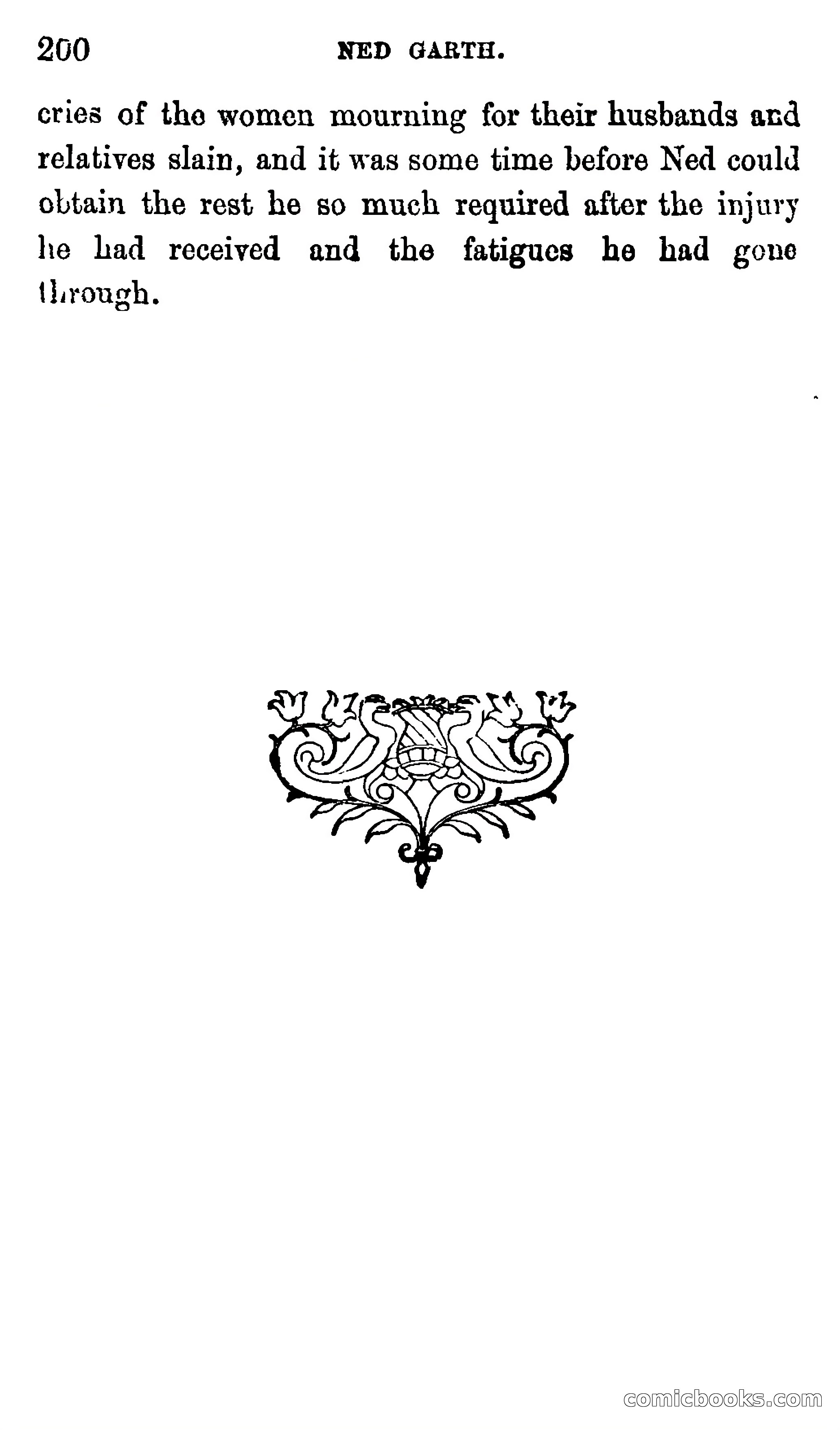 Ned Garth; or, Made Prisoner in Africa — page 204 of 260