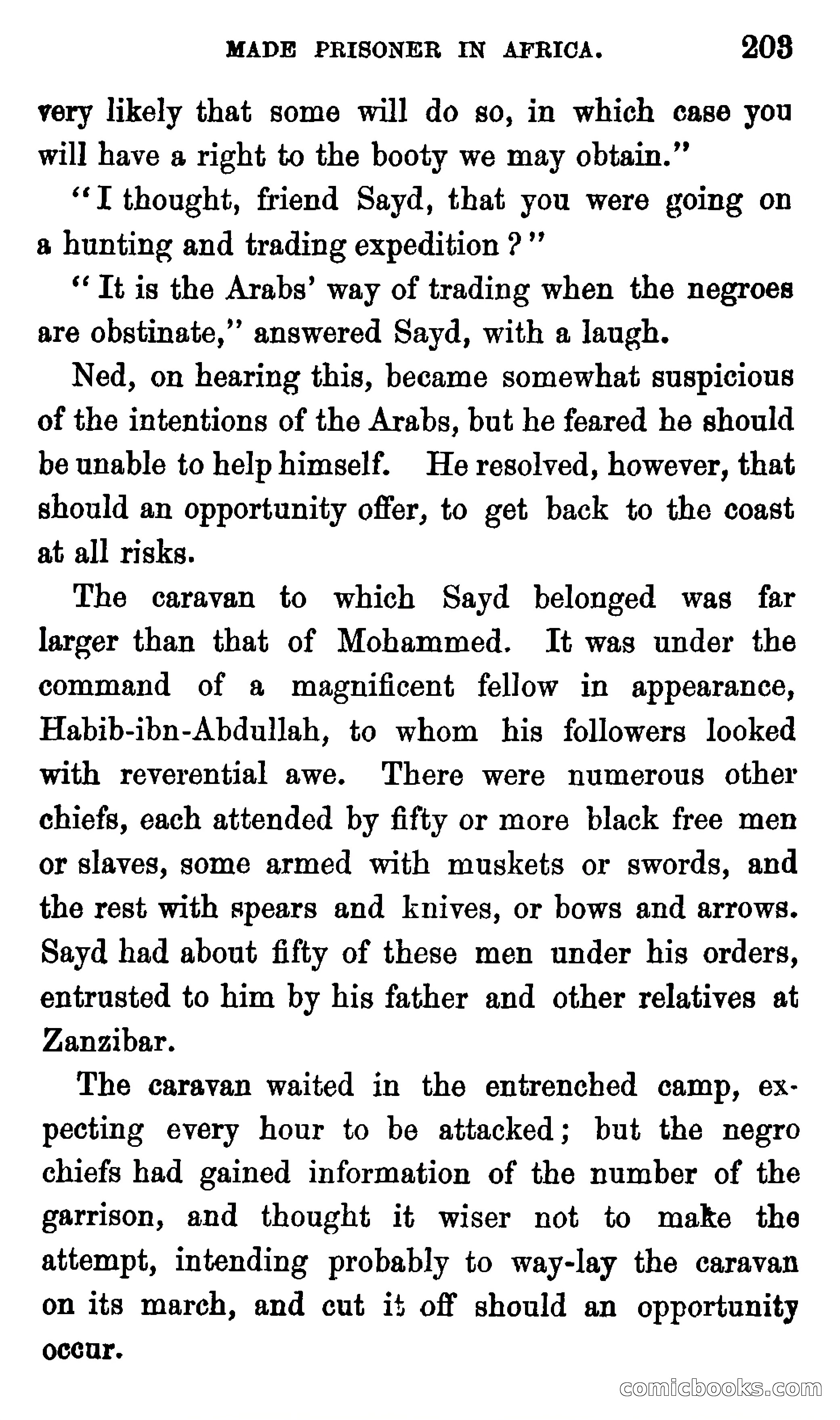 Ned Garth; or, Made Prisoner in Africa — page 207 of 260