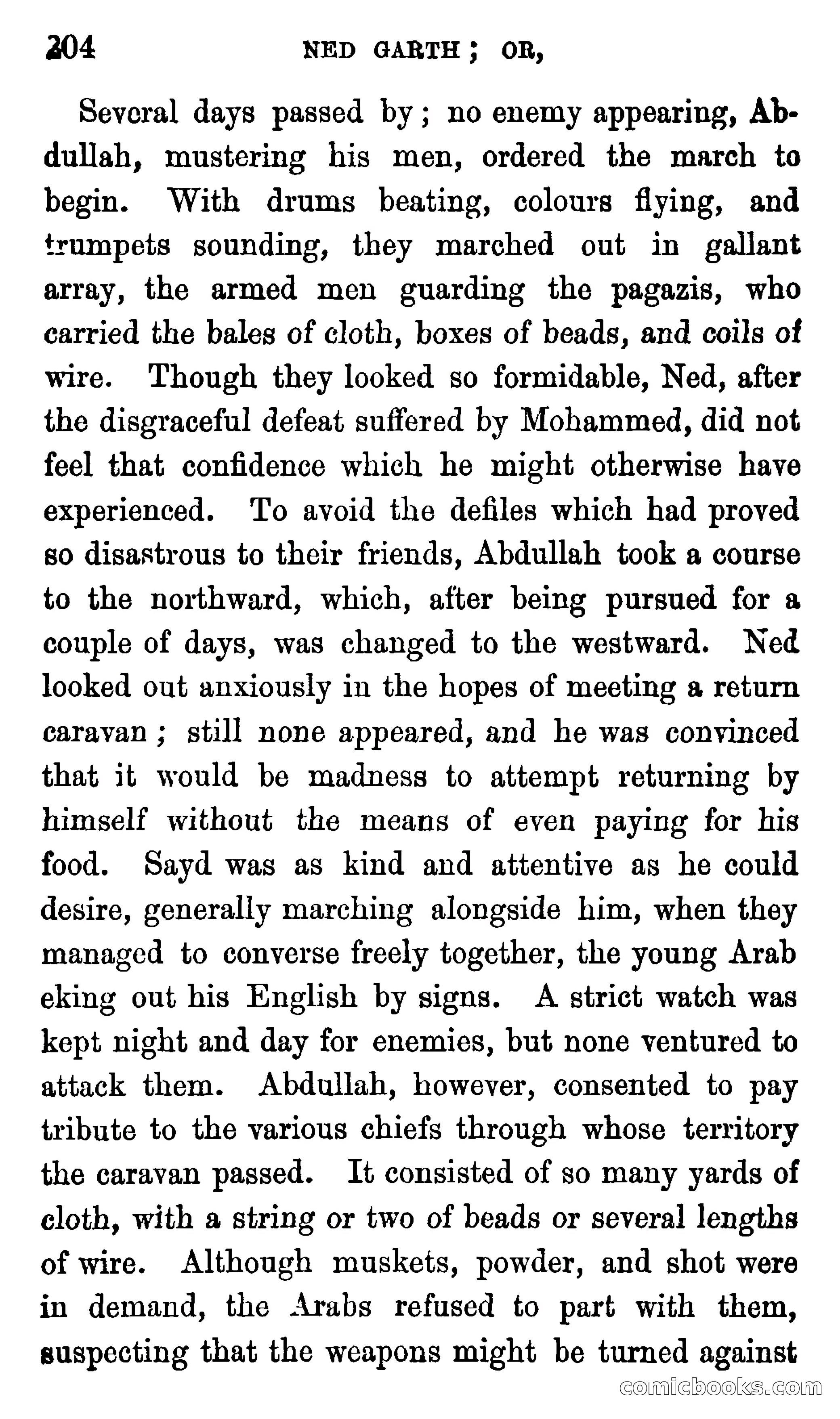 Ned Garth; or, Made Prisoner in Africa — page 208 of 260