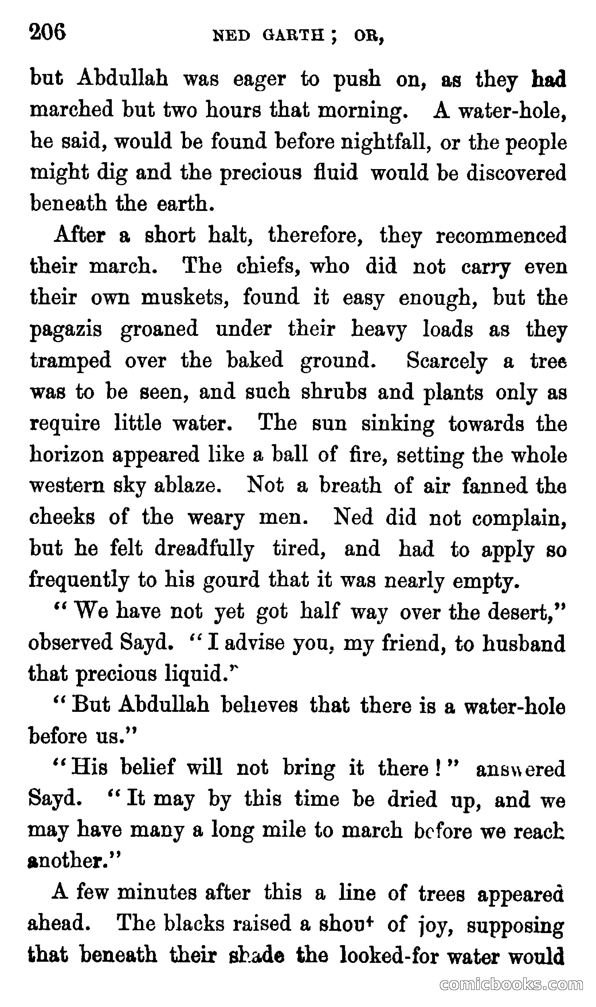 Ned Garth; or, Made Prisoner in Africa — page 210 of 260