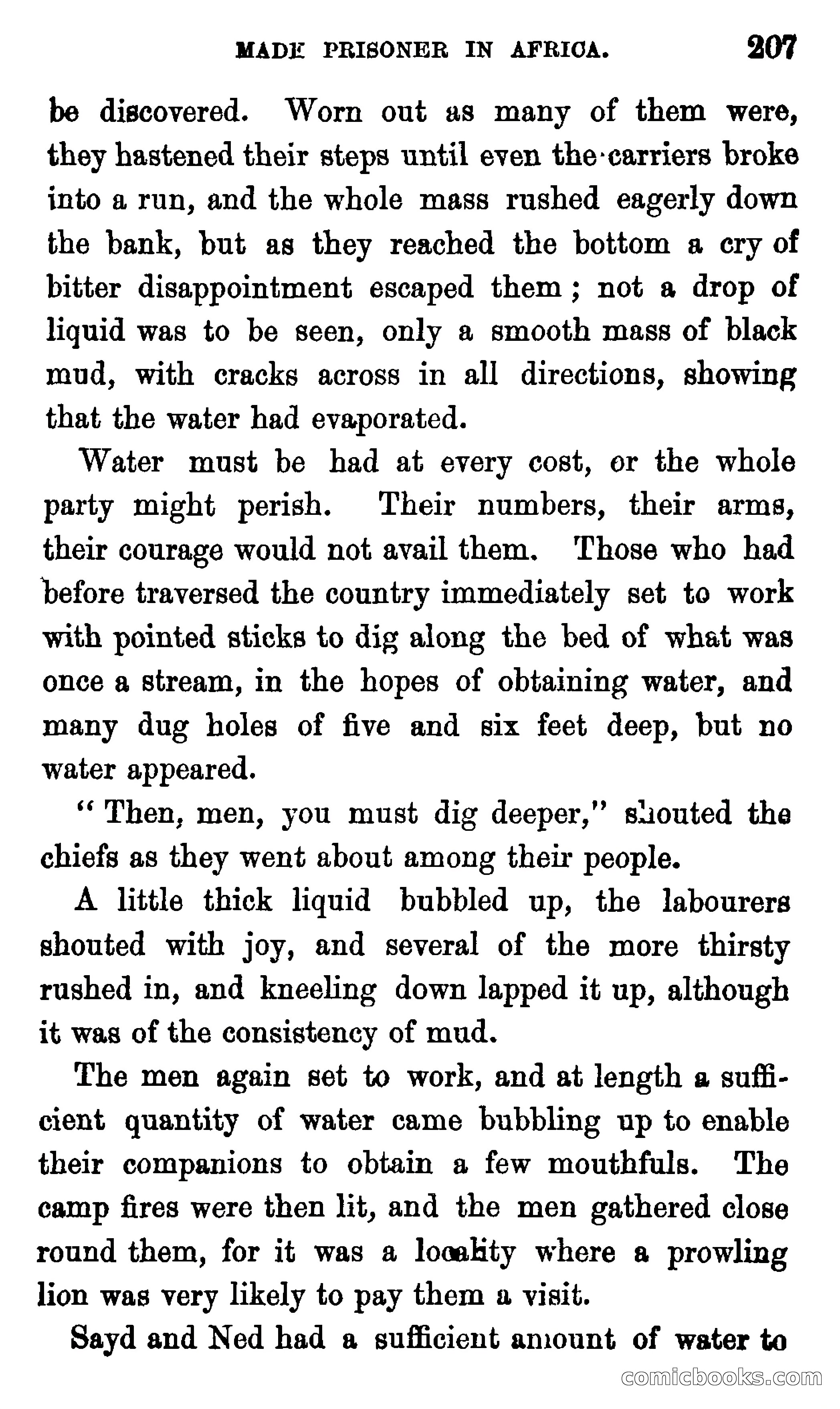 Ned Garth; or, Made Prisoner in Africa — page 211 of 260
