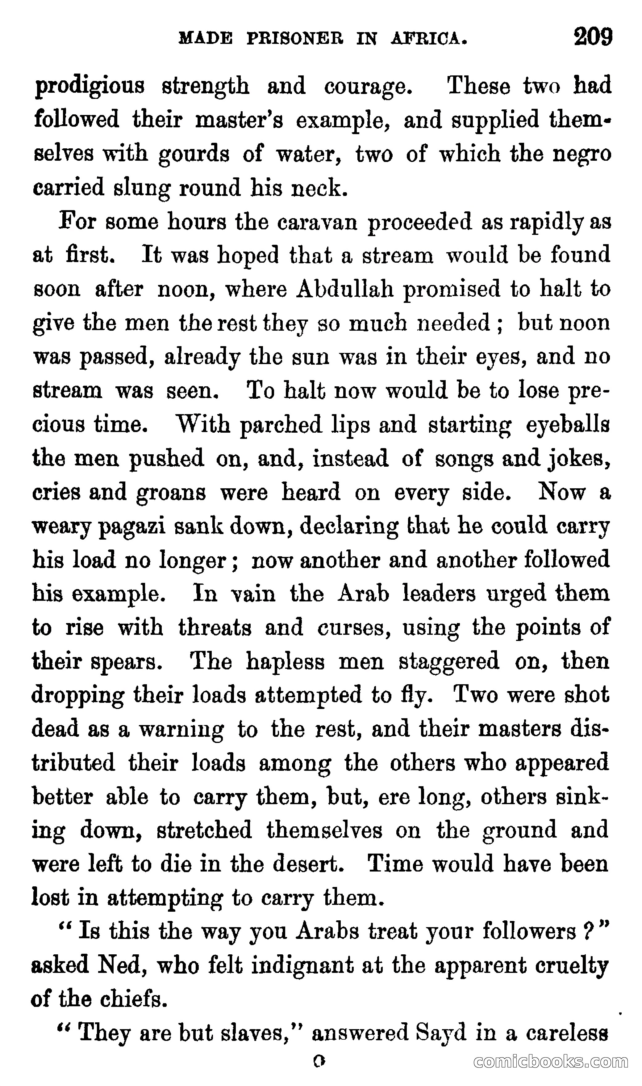 Ned Garth; or, Made Prisoner in Africa — page 213 of 260