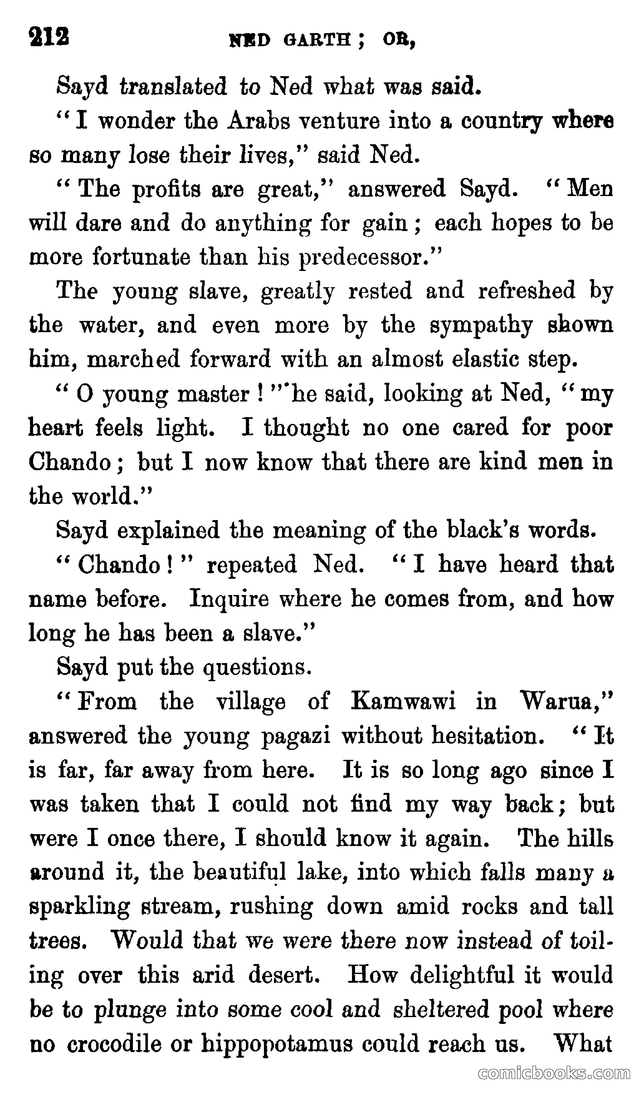 Ned Garth; or, Made Prisoner in Africa — page 216 of 260