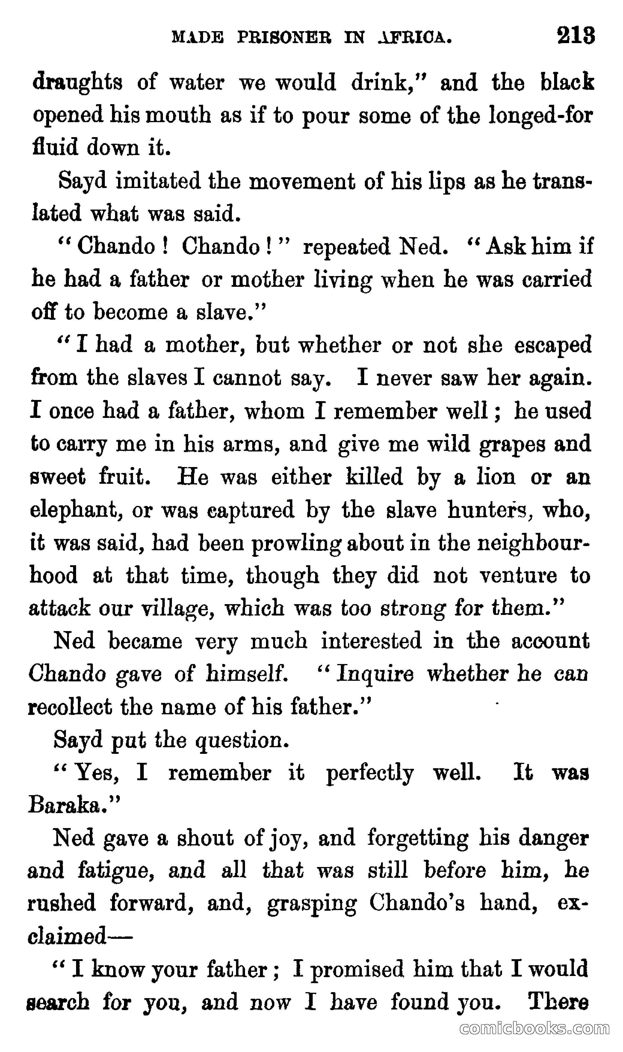 Ned Garth; or, Made Prisoner in Africa — page 217 of 260