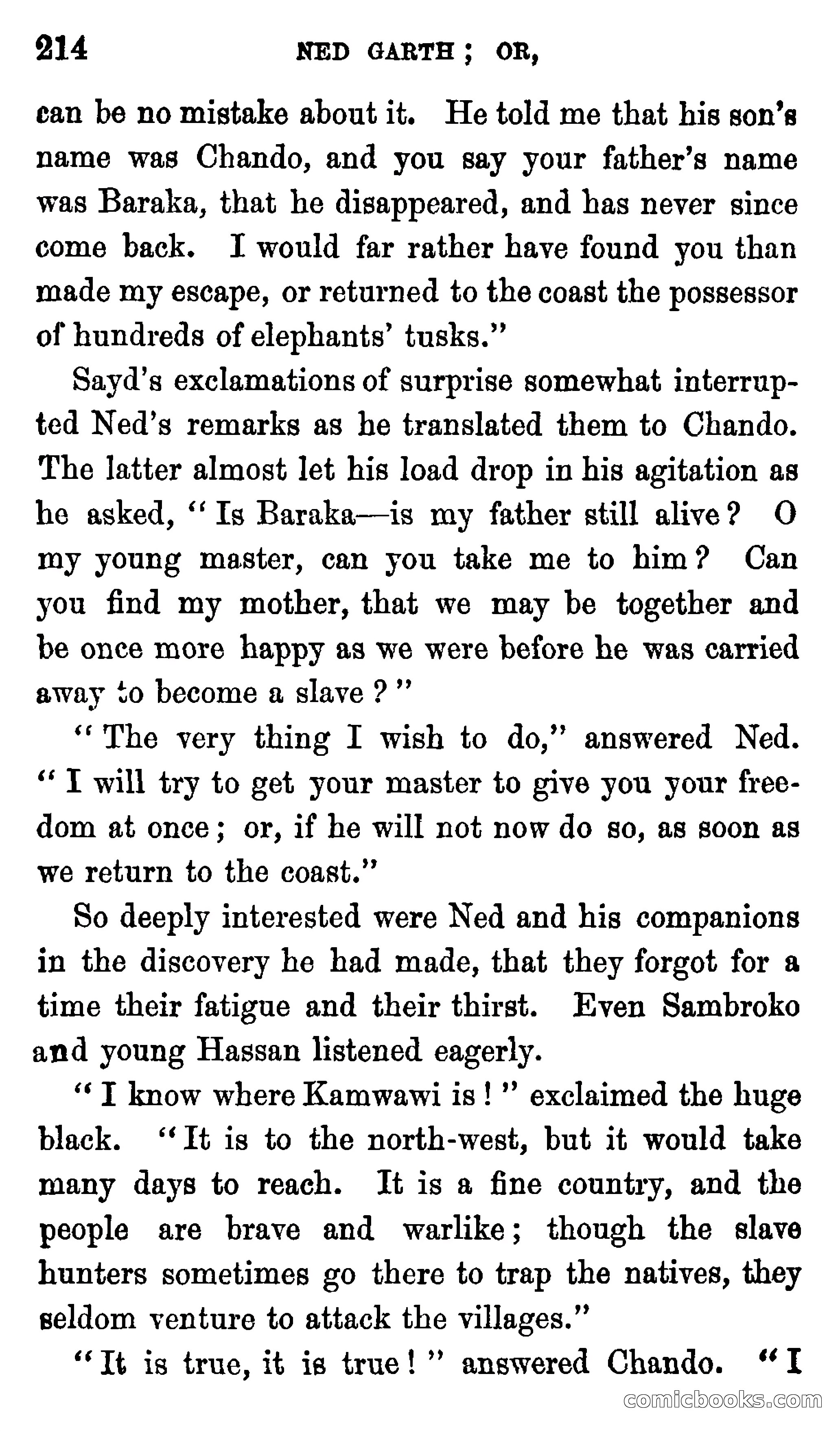 Ned Garth; or, Made Prisoner in Africa — page 218 of 260