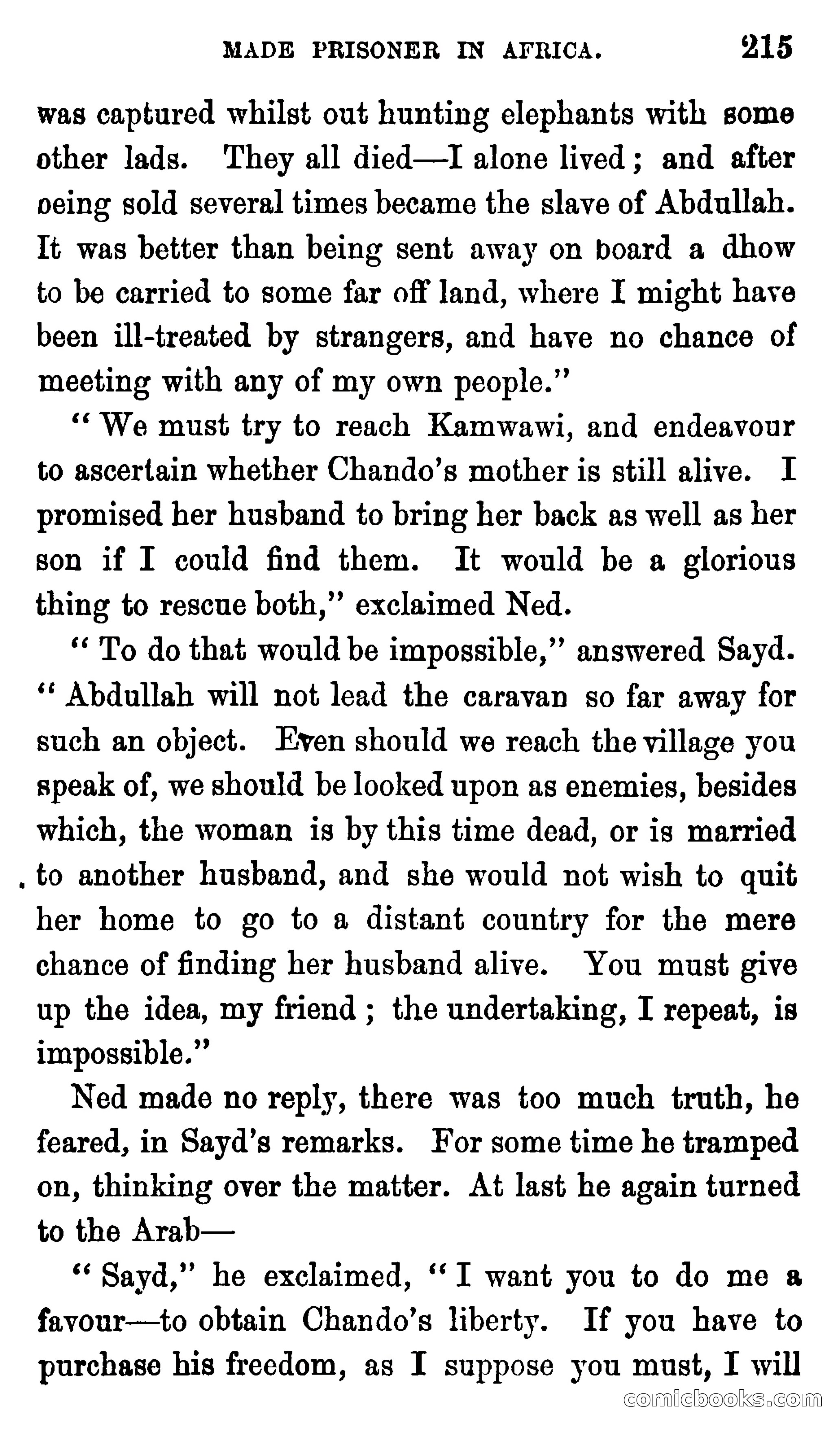 Ned Garth; or, Made Prisoner in Africa — page 219 of 260