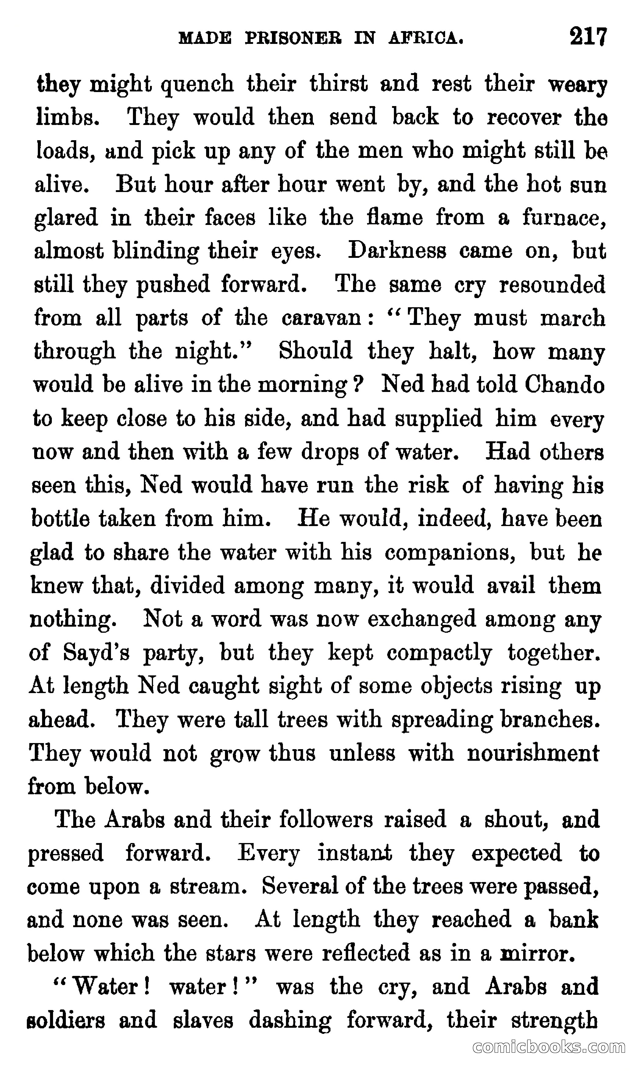 Ned Garth; or, Made Prisoner in Africa — page 221 of 260