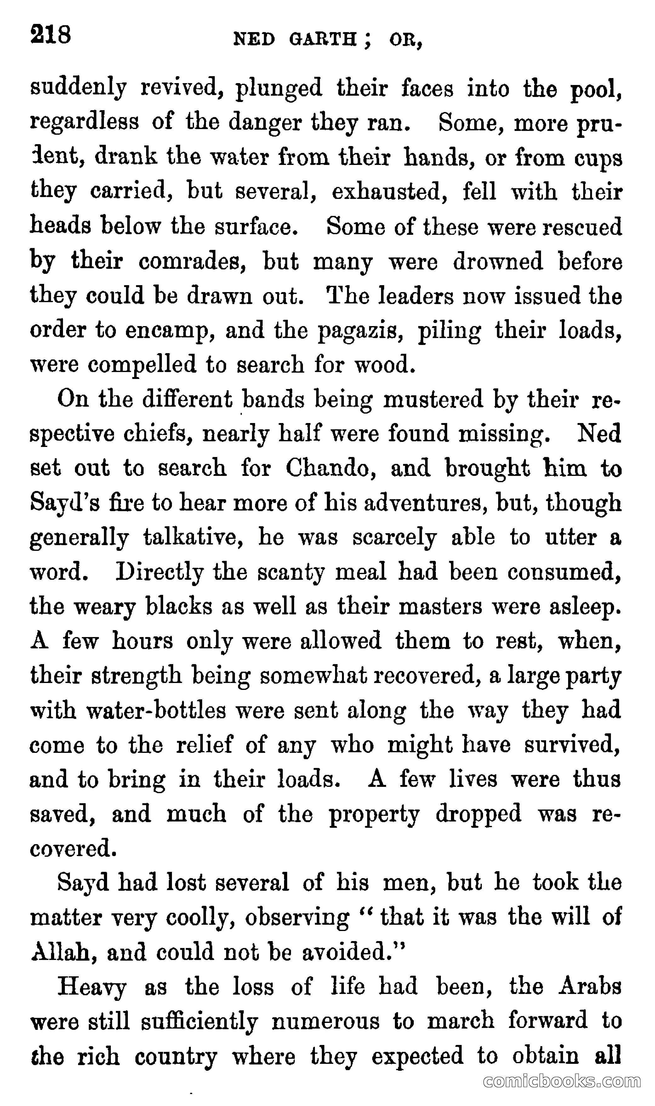 Ned Garth; or, Made Prisoner in Africa — page 222 of 260