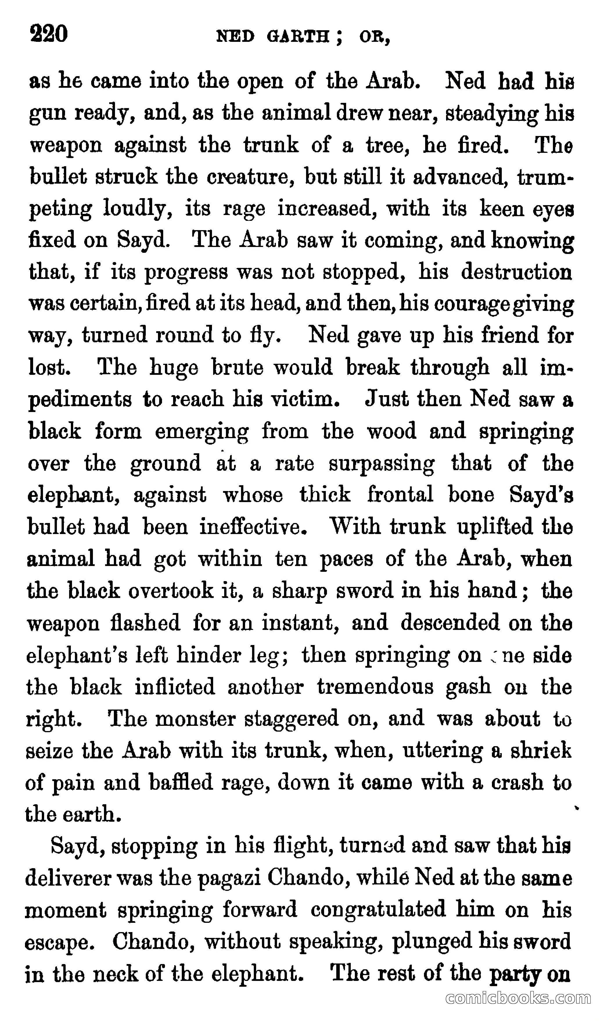 Ned Garth; or, Made Prisoner in Africa — page 224 of 260