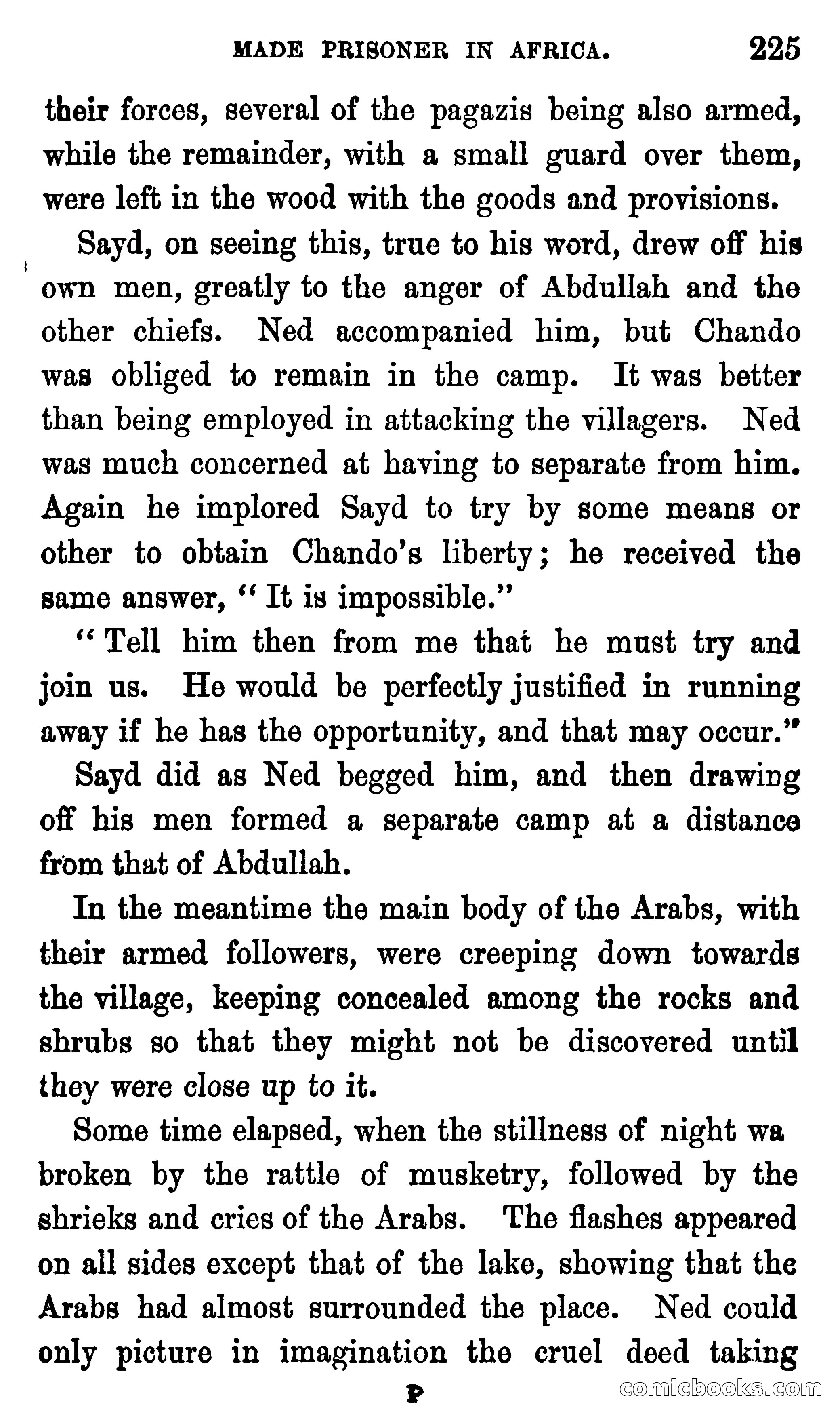 Ned Garth; or, Made Prisoner in Africa — page 229 of 260
