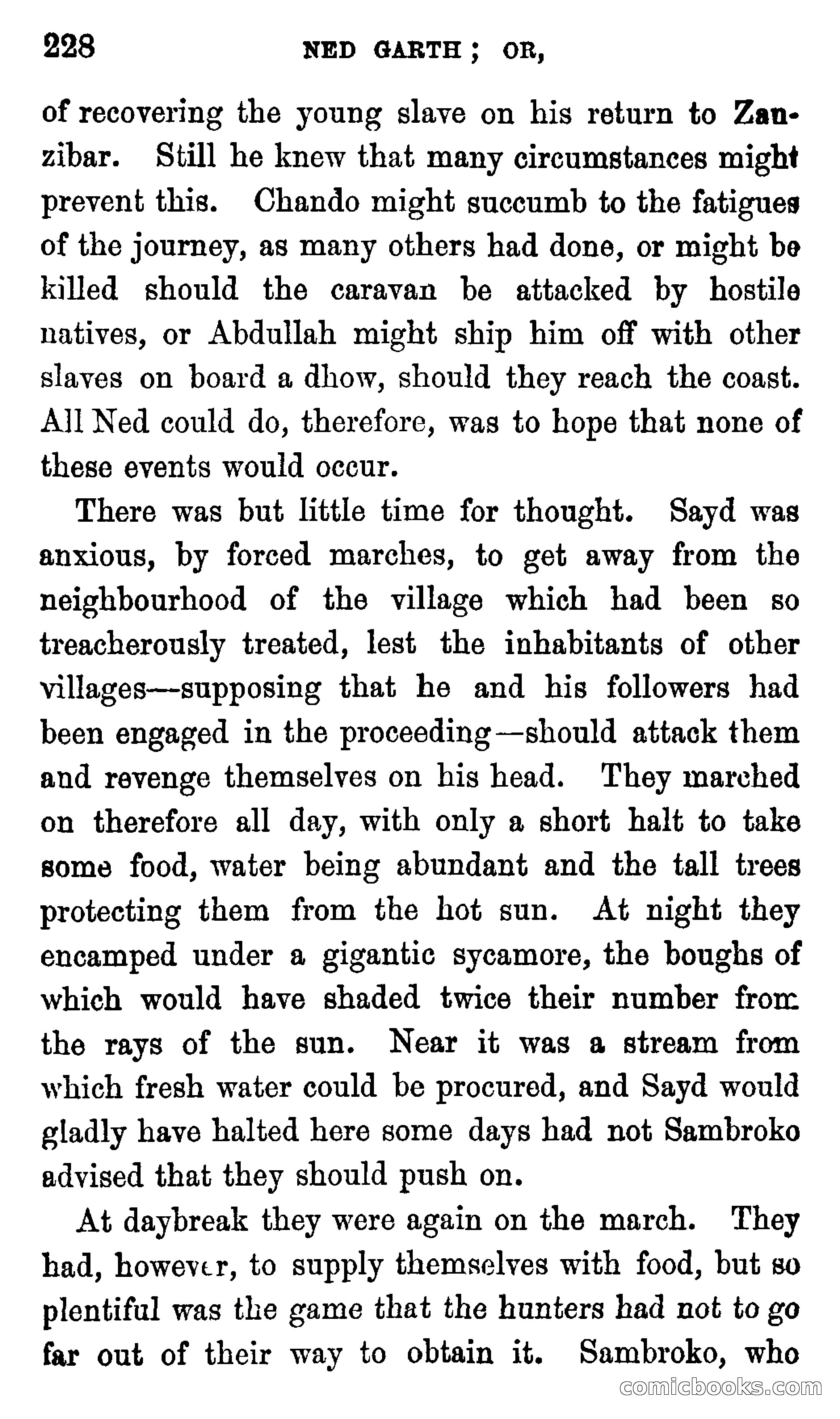 Ned Garth; or, Made Prisoner in Africa — page 232 of 260