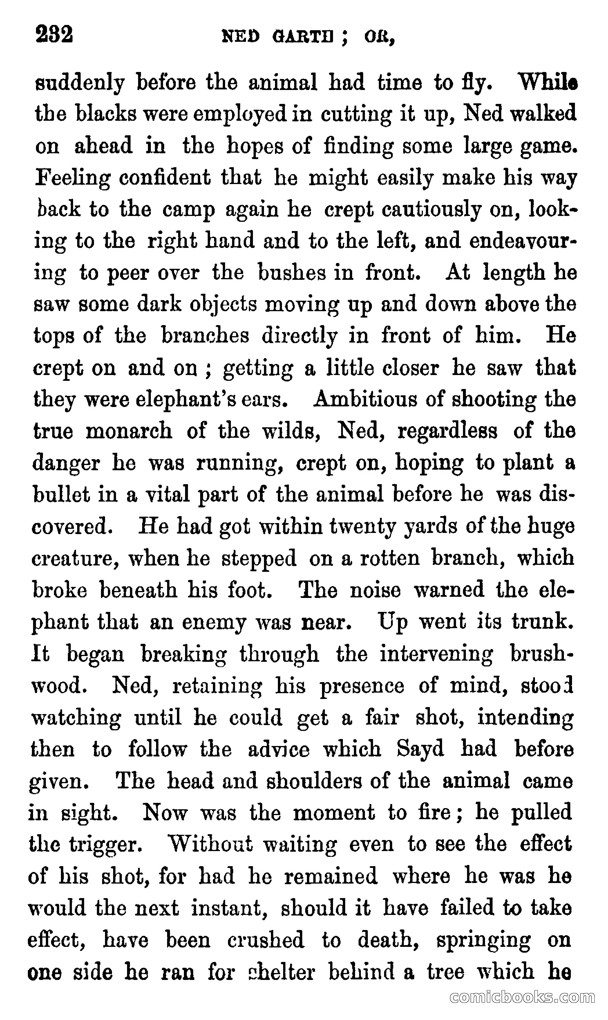 Ned Garth; or, Made Prisoner in Africa — page 236 of 260