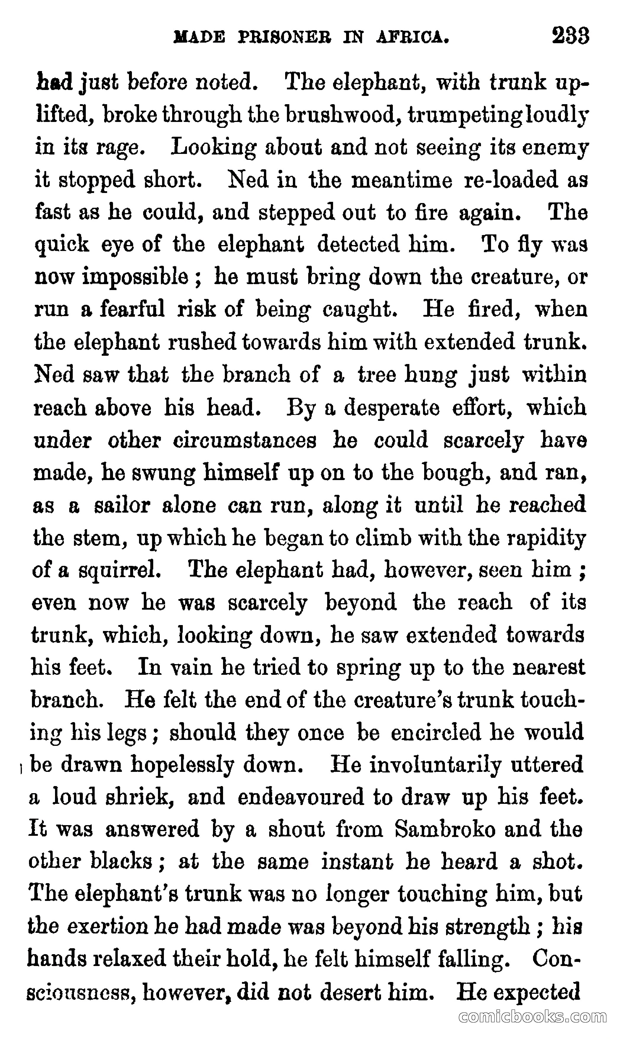 Ned Garth; or, Made Prisoner in Africa — page 237 of 260